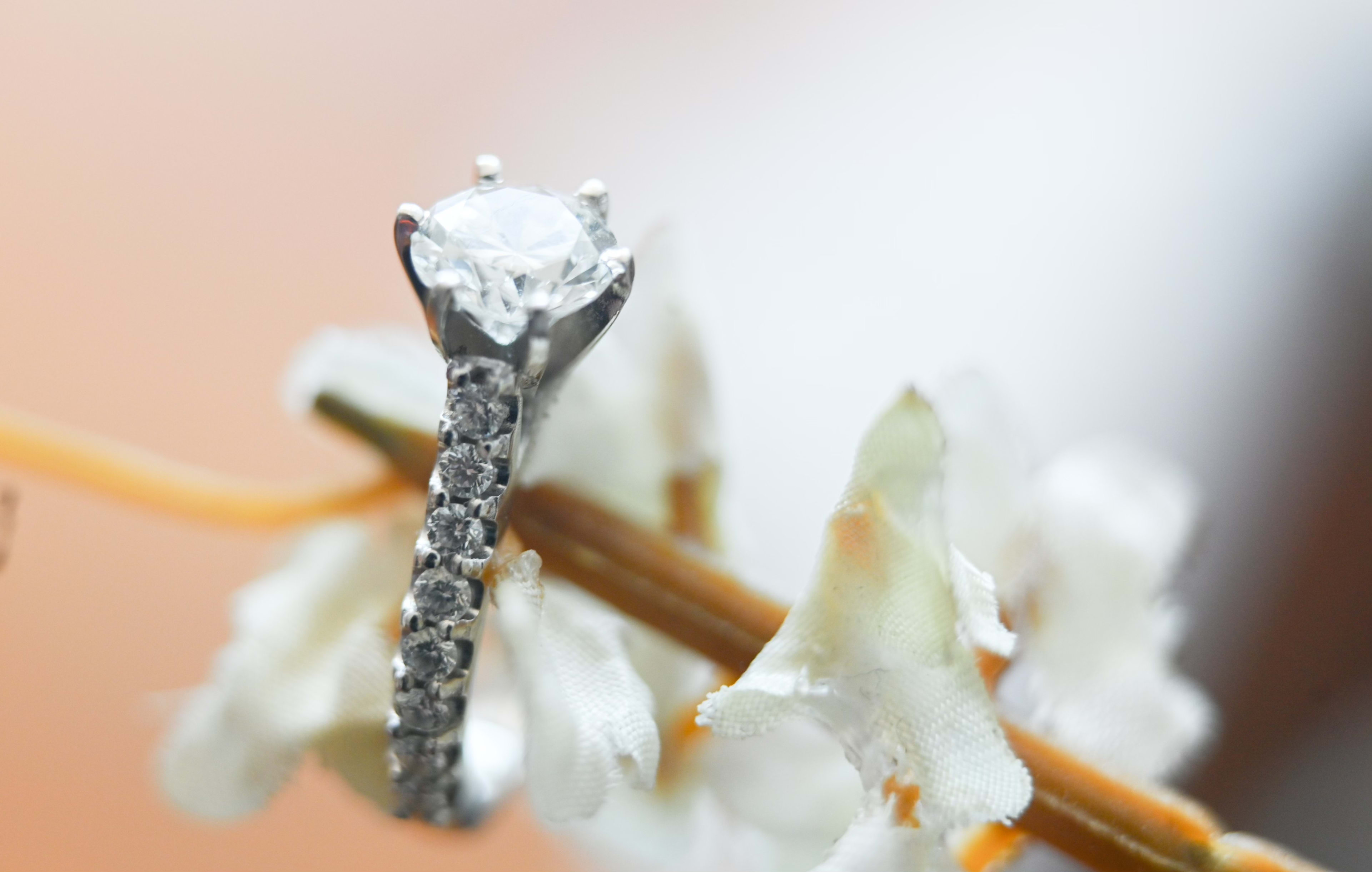 A close-up of a diamond ring on a flower or flower-like structure.