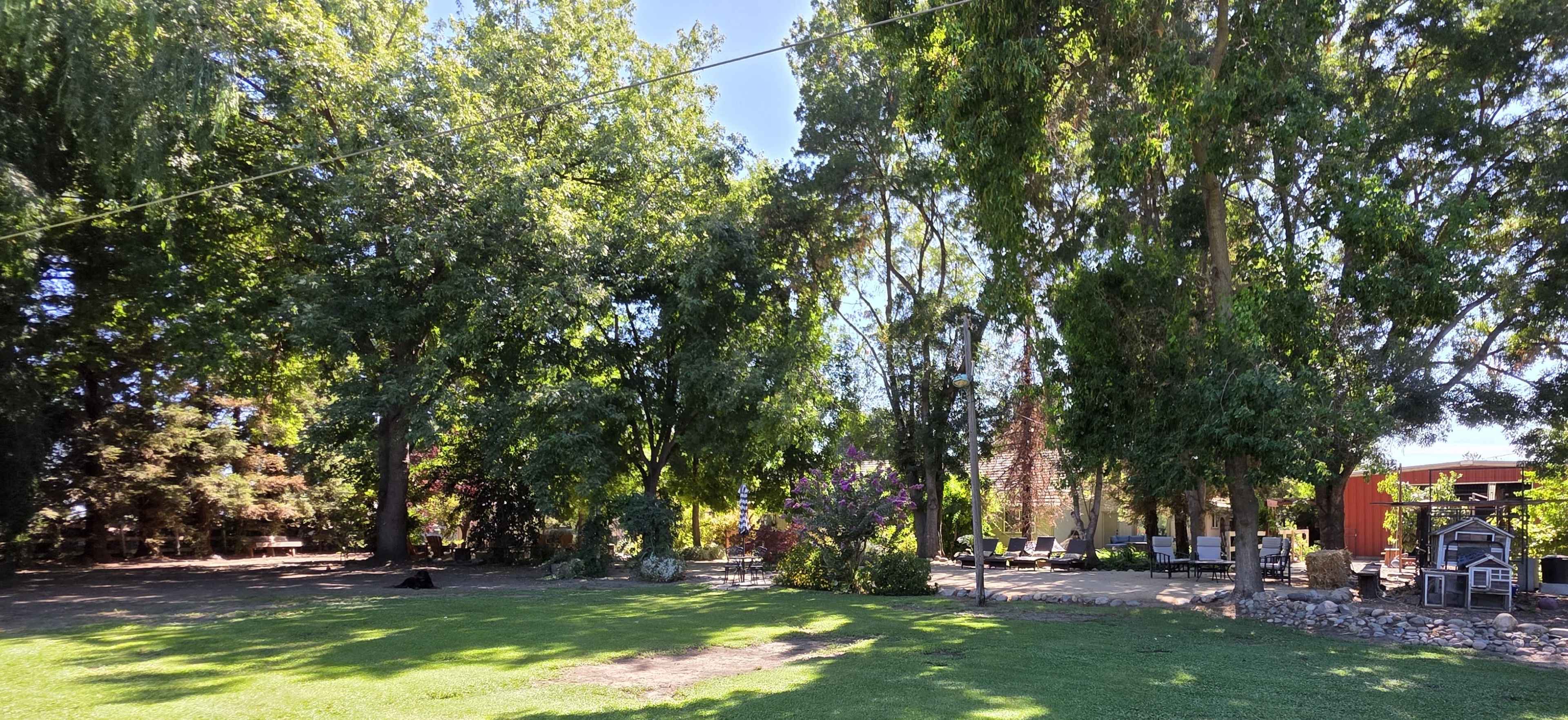 Country Resort, Lake Shore look optional, surrounded by 150 trees Image in , Modesto, CA