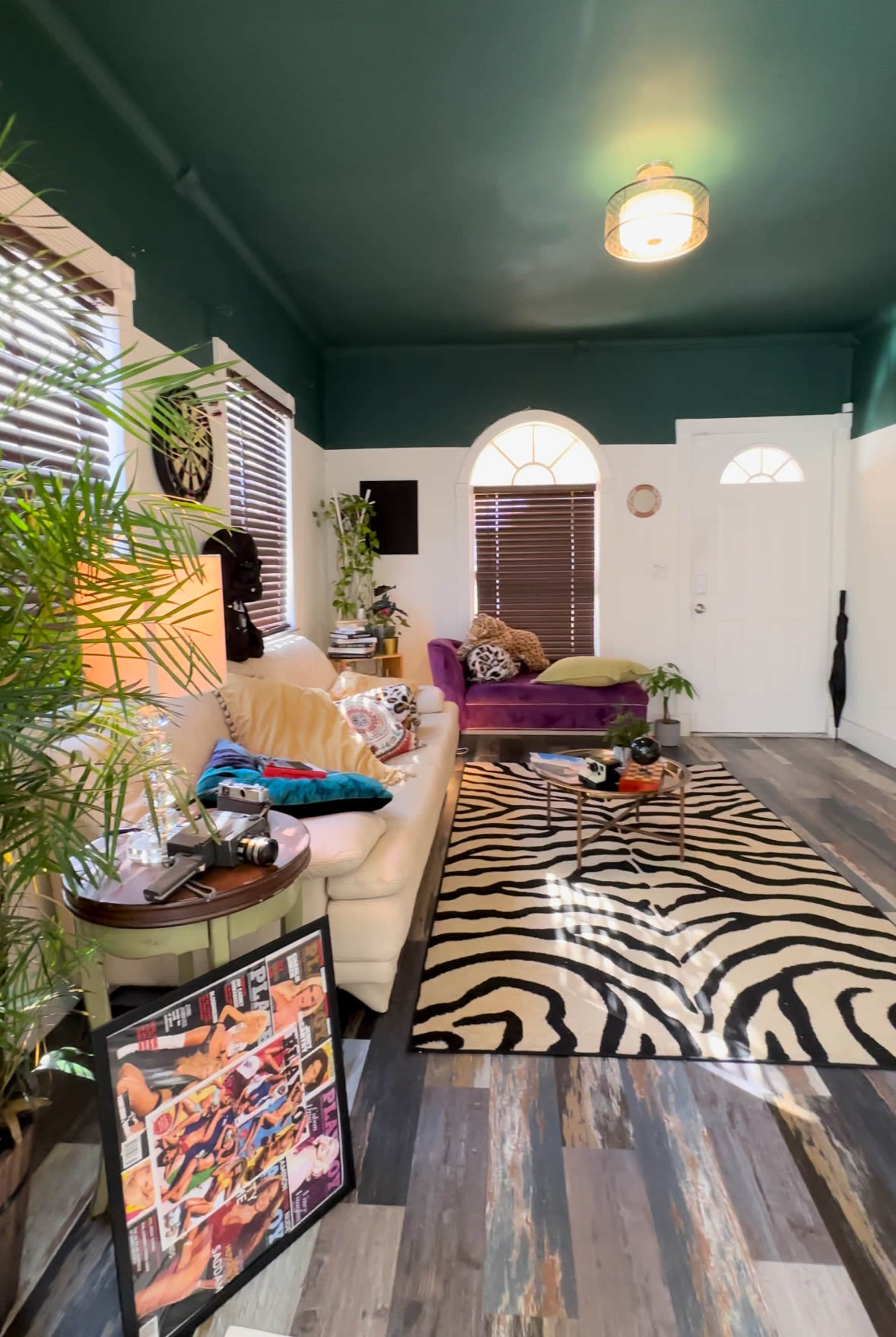 The room features a white sofa, a purple chair, a zebra-striped rug, and a mix of plants and decor against green walls with natural light coming through the windows.