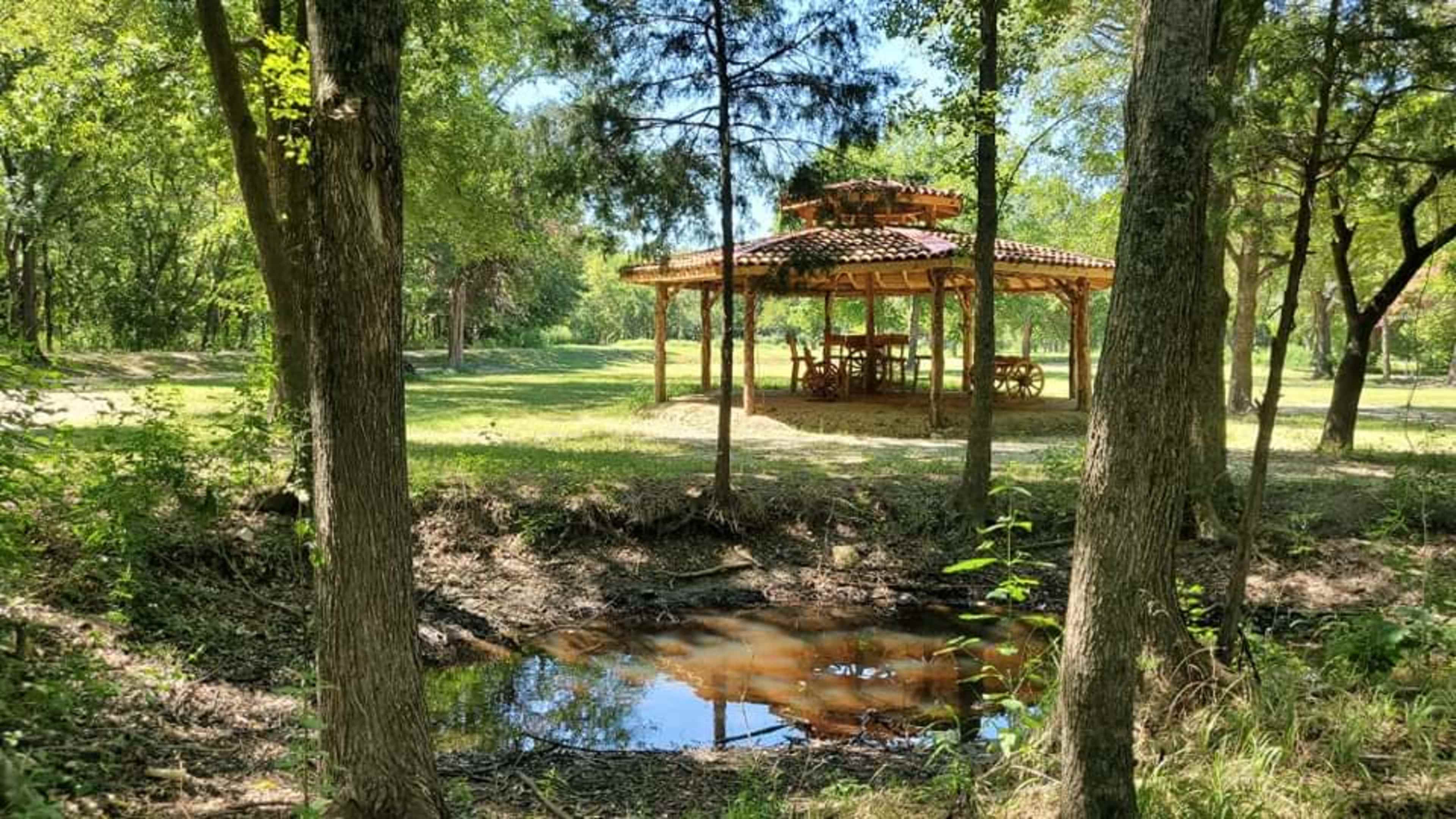 A gazebo with wooden benches and a table is situated in a grassy area surrounded by trees, beside a small pond.