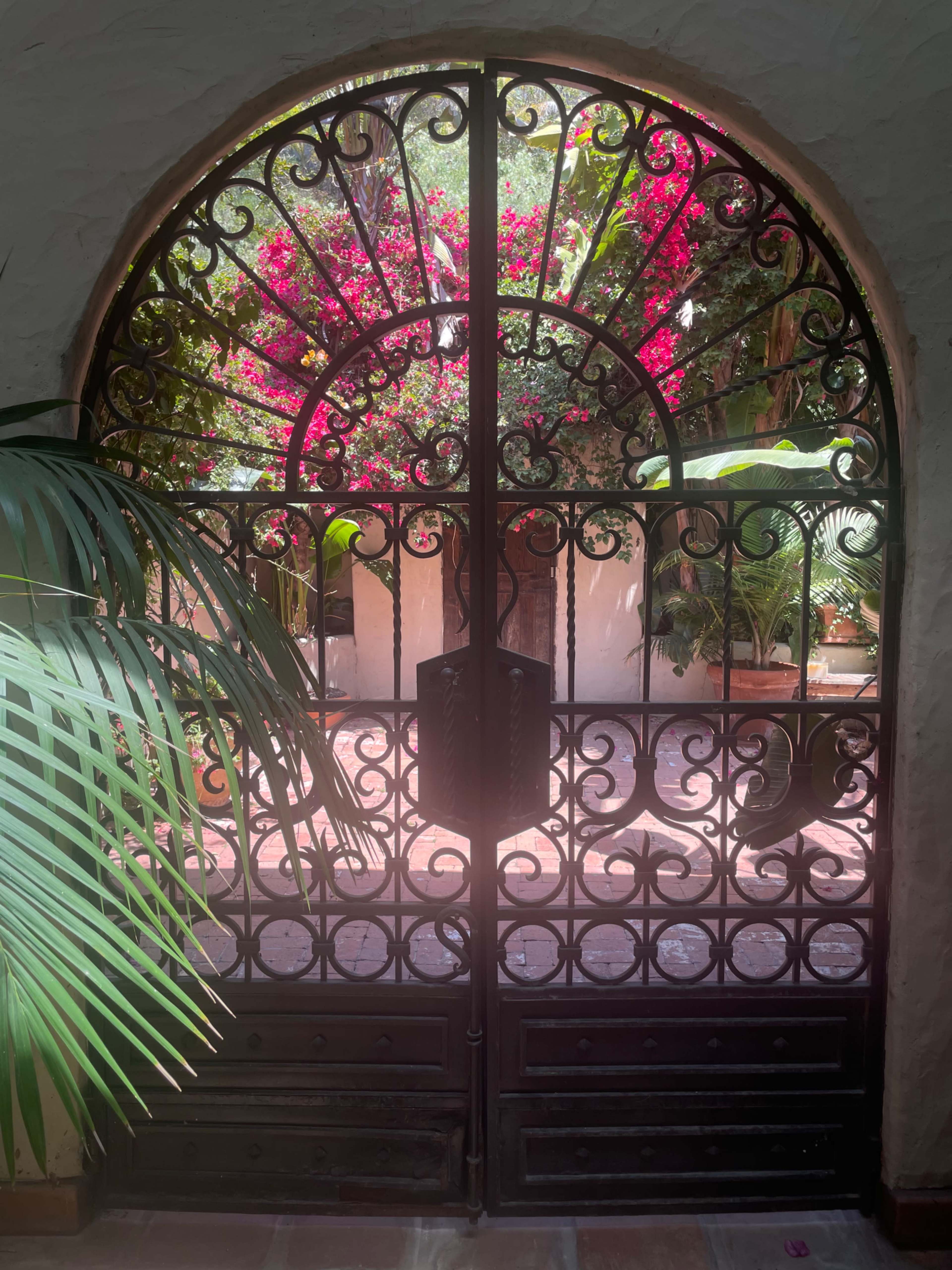 A wrought iron gate frames a view of a courtyard filled with blooming flowers and greenery.