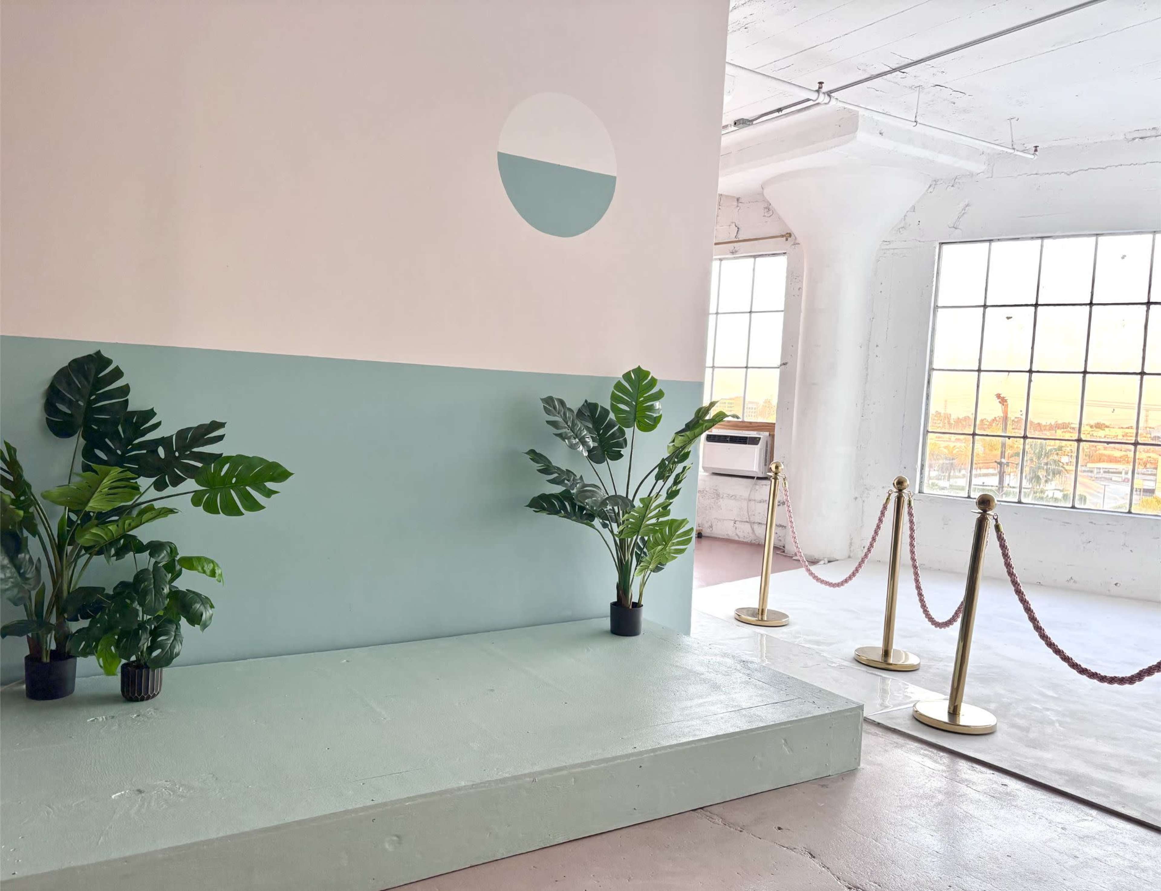 The image shows a minimalist interior space featuring a light green wall with a circular mural, two potted plants, and a partitioned area with a step, along with a row of velvet ropes attached to gold stanchions in front of large windows.