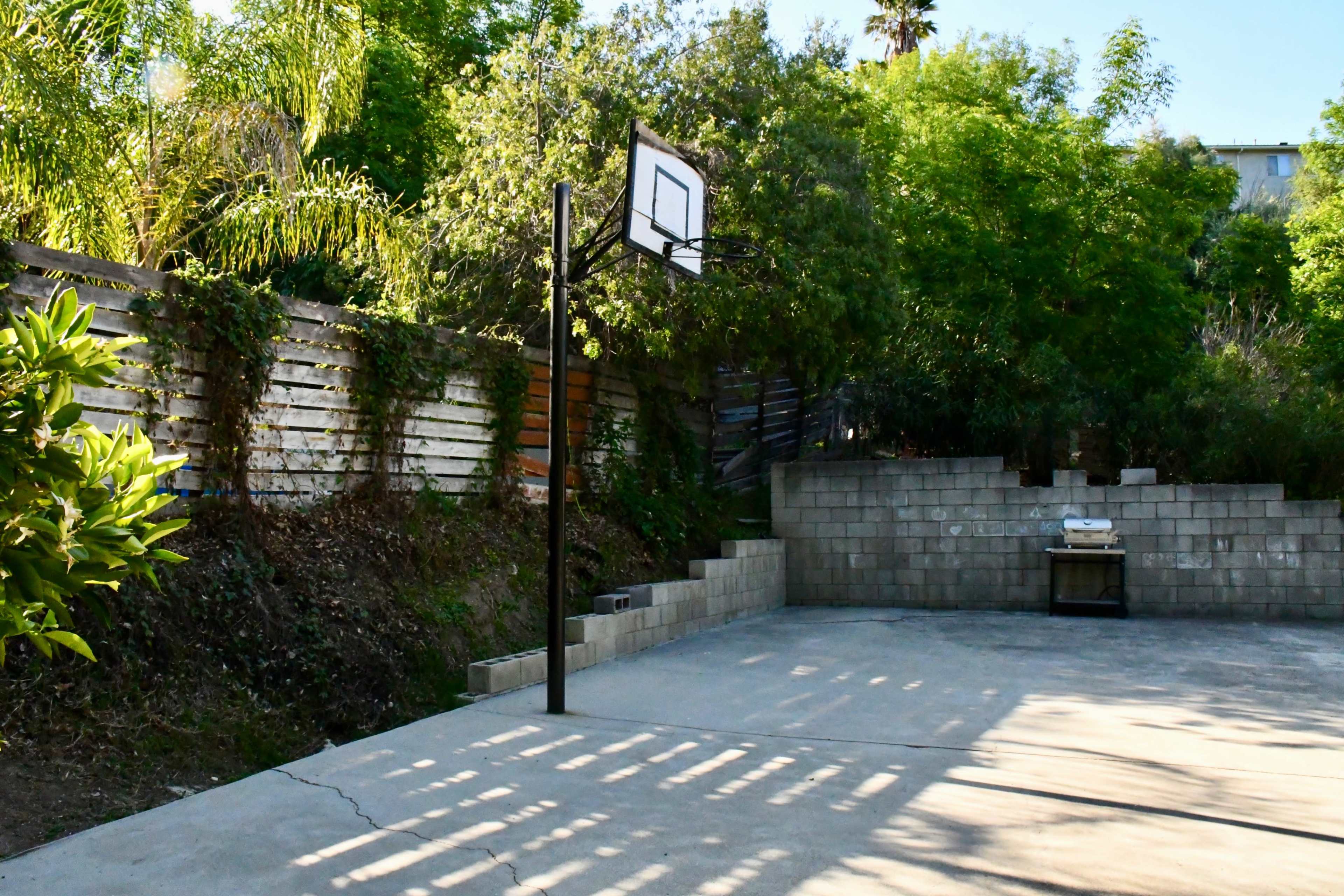 The image shows a basketball hoop mounted on a black pole in a concrete area surrounded by greenery and a wooden fence.