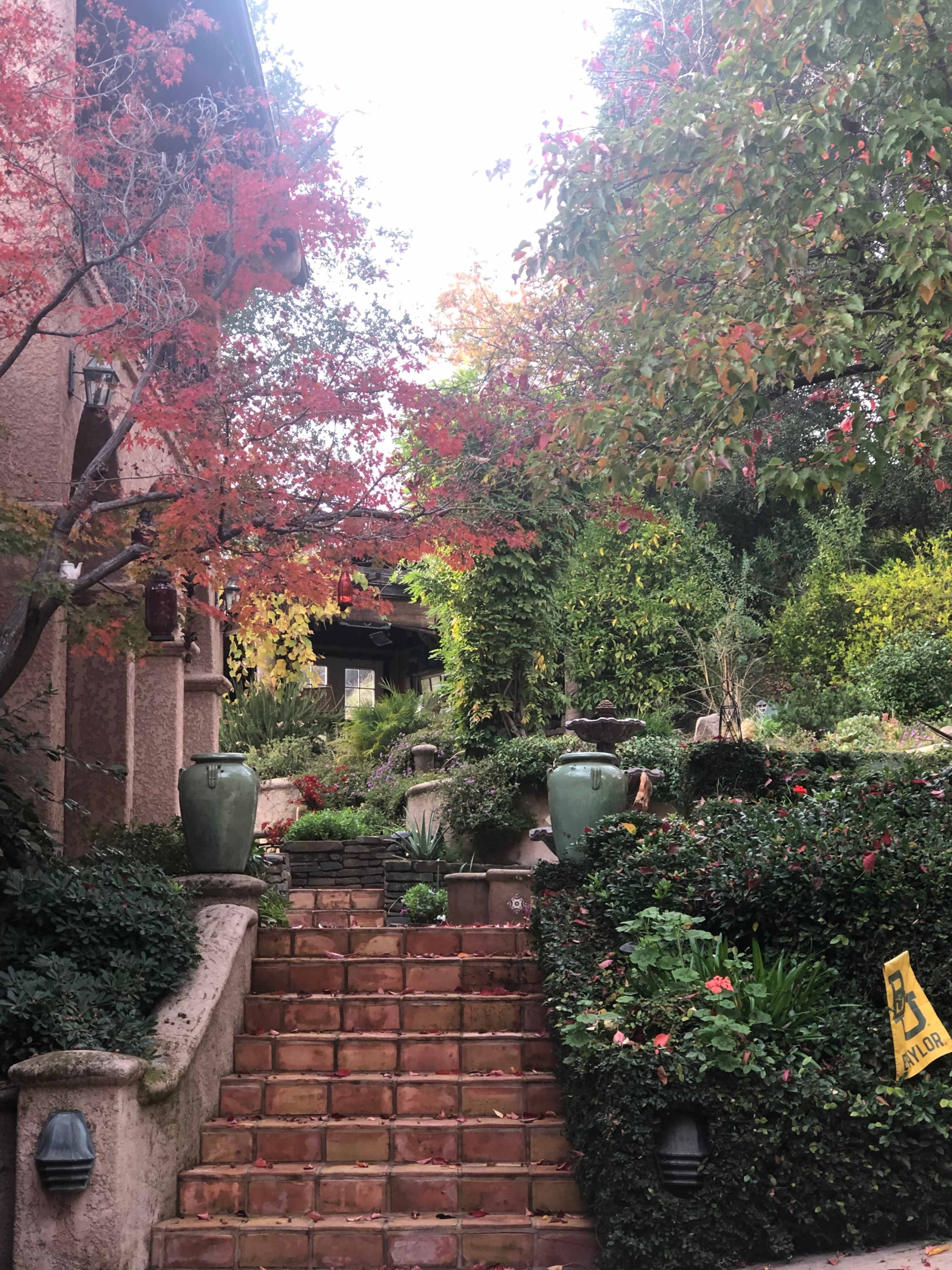 A stone staircase adorned with terracotta tiles leads up through a lush garden filled with potted plants and colorful foliage.