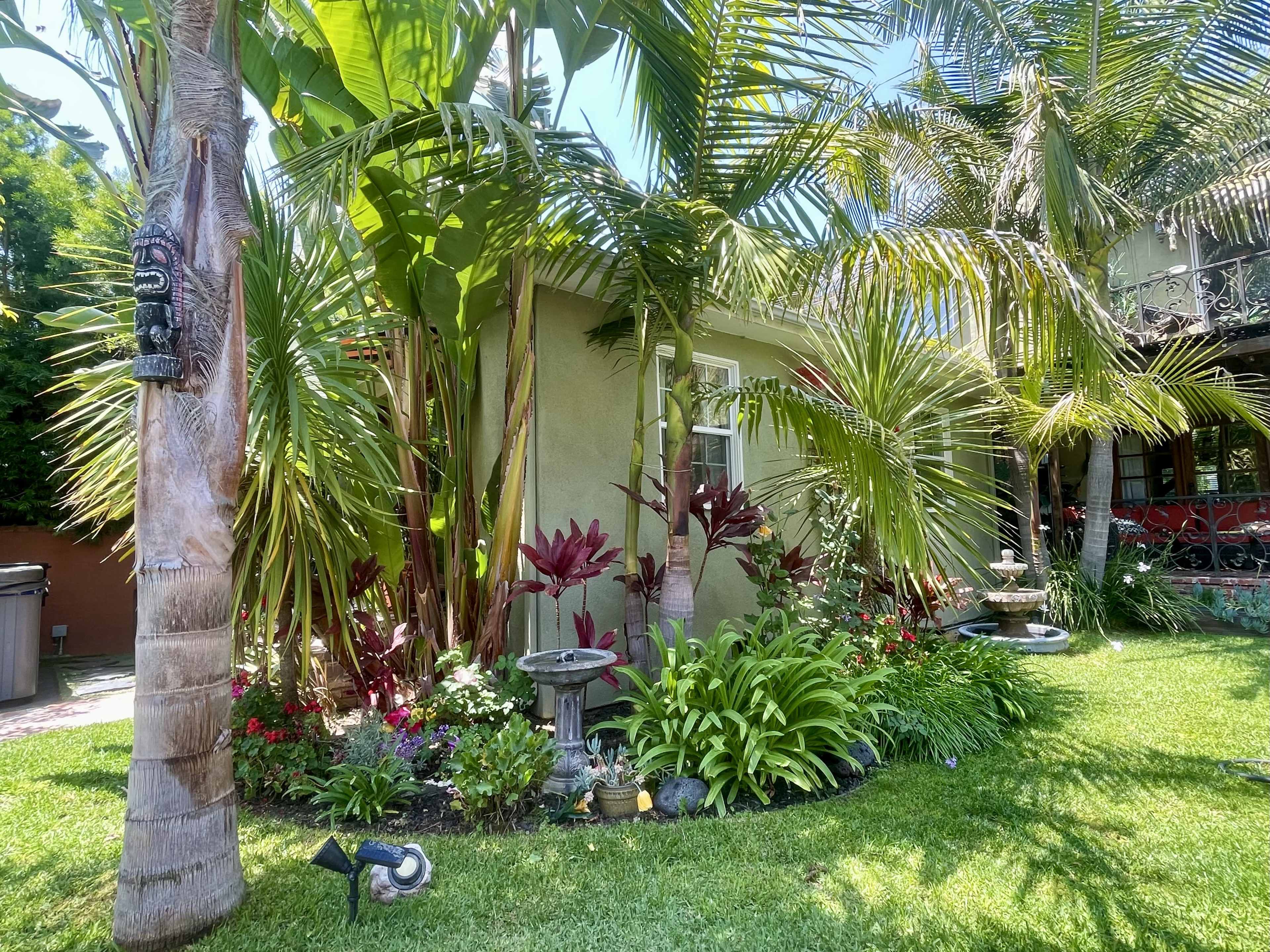 The image shows a lush garden with palm trees and colorful plants in front of a small green building.