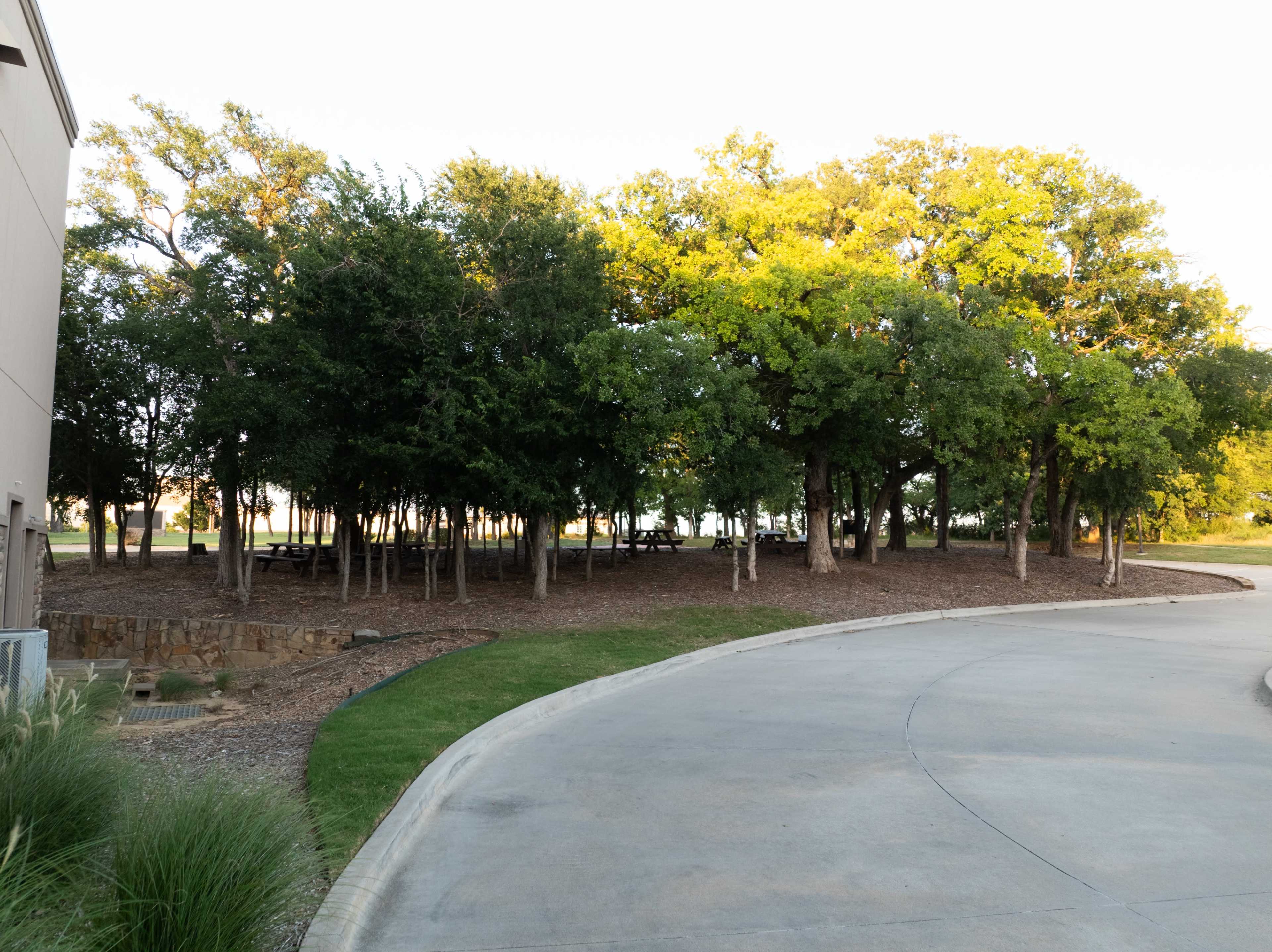 The image shows a gravel pathway curving around a wooded area with a mix of trees and grass.