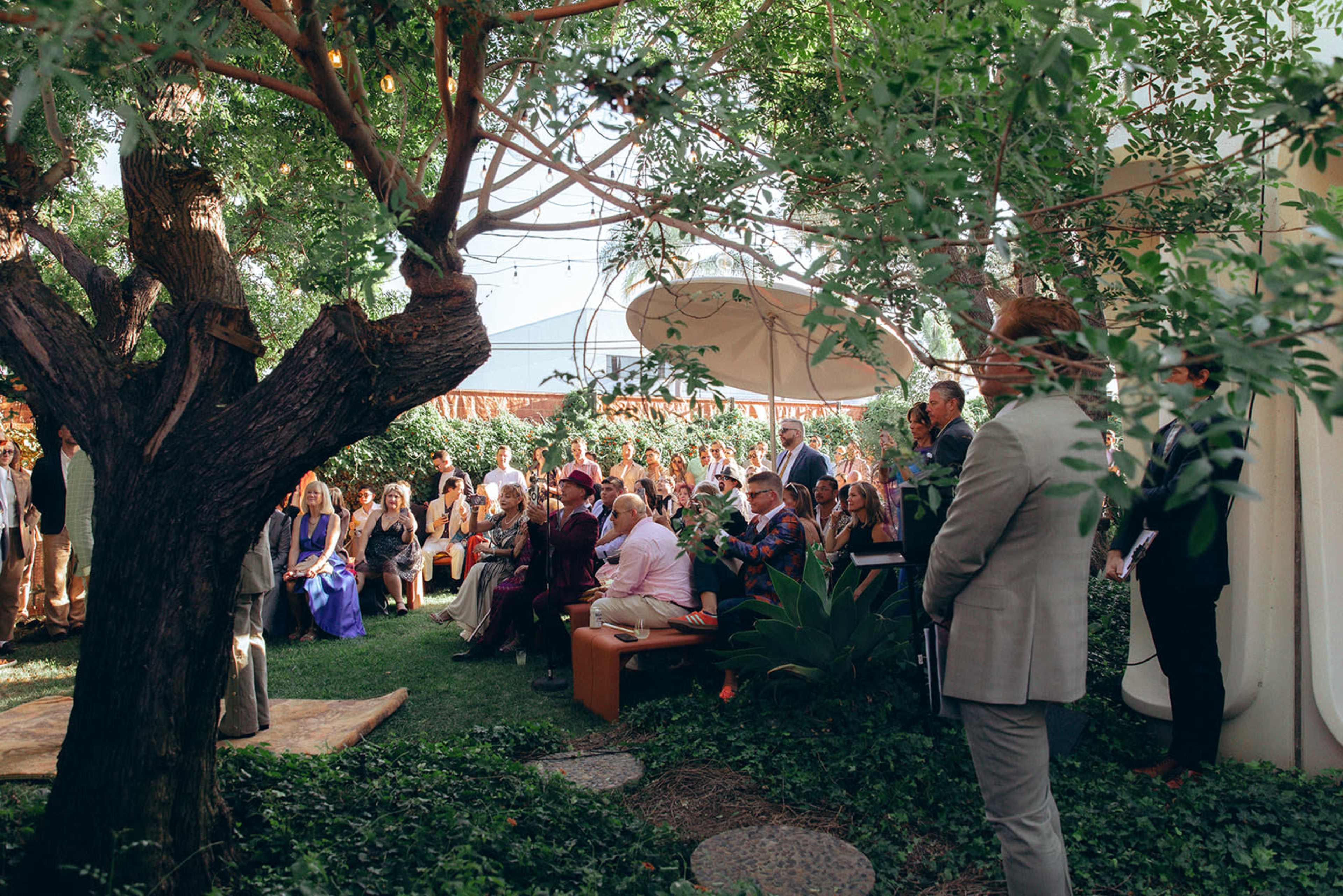 A crowd of guests is seated in a garden setting, surrounded by greenery, as they watch a ceremony taking place under a large tree.