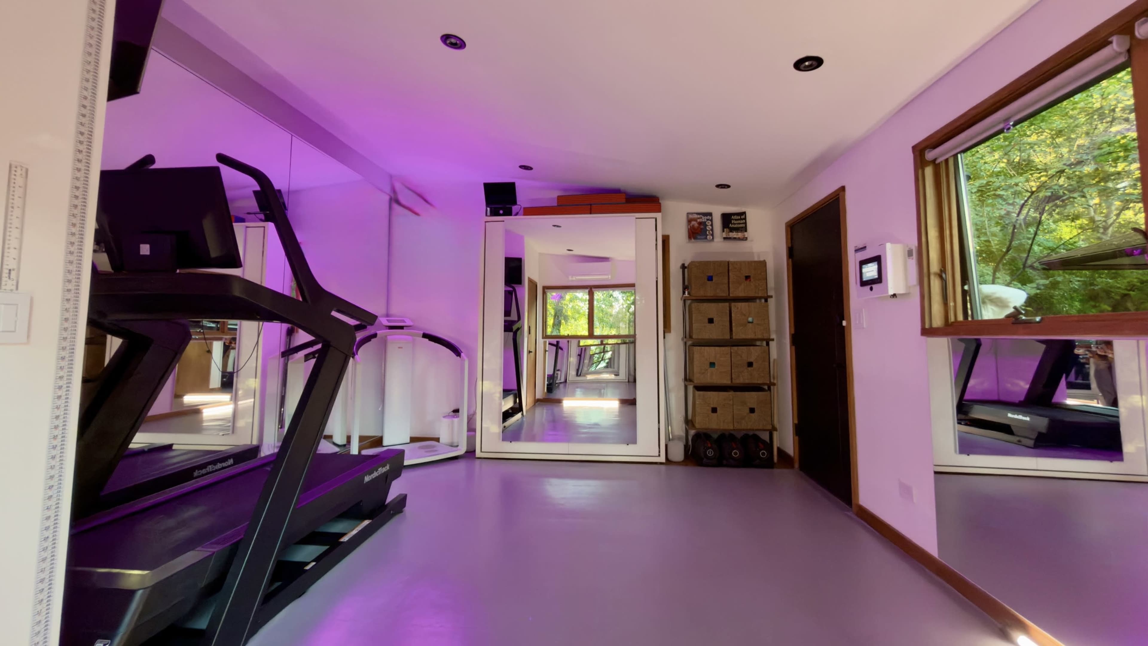 The image shows a modern home gym featuring a treadmill, mirrored walls, and a window overlooking greenery, with shelves containing weights and storage boxes.