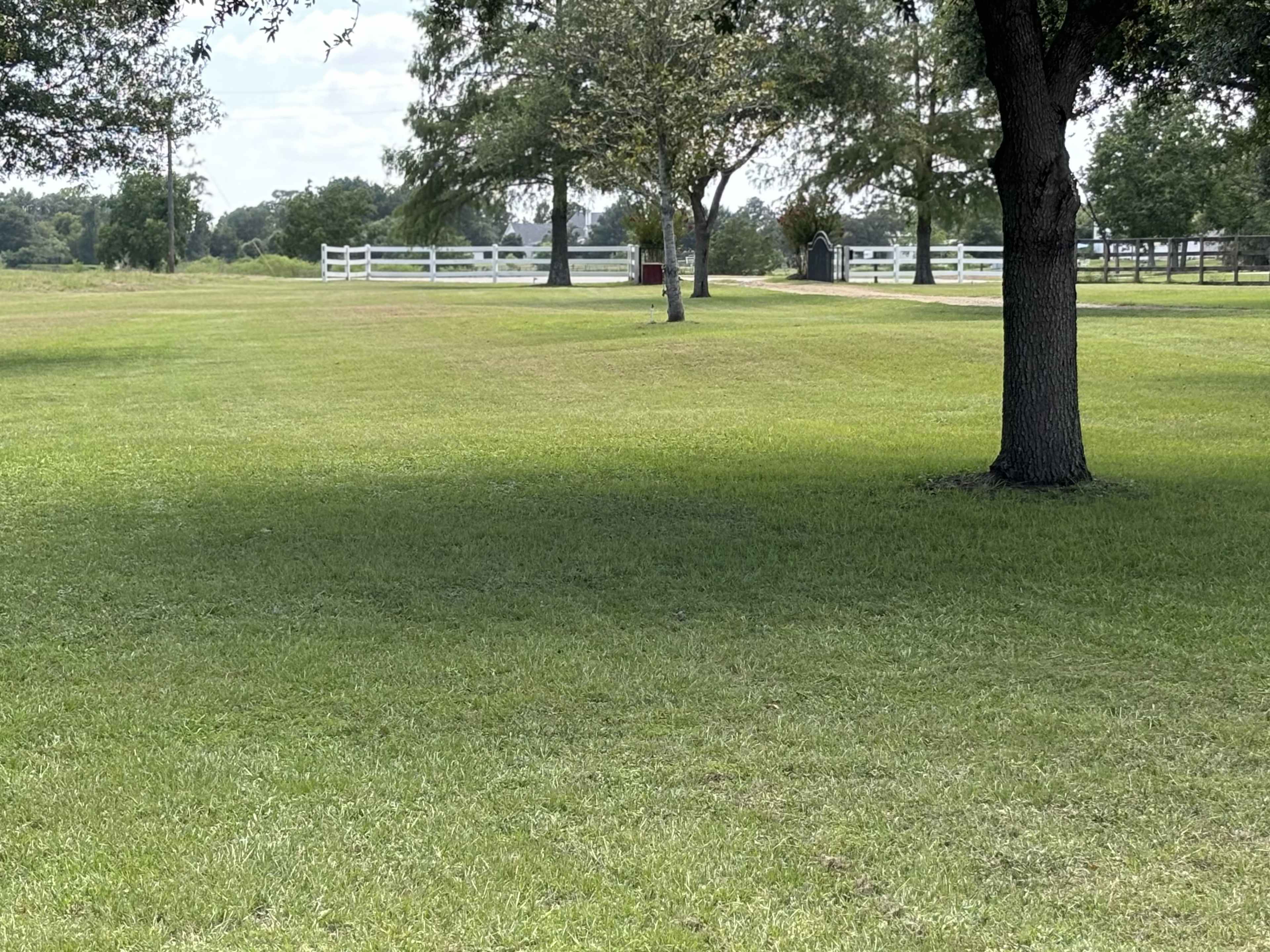 A grassy field is bordered by trees and a white fence, with a few structures visible in the distance.