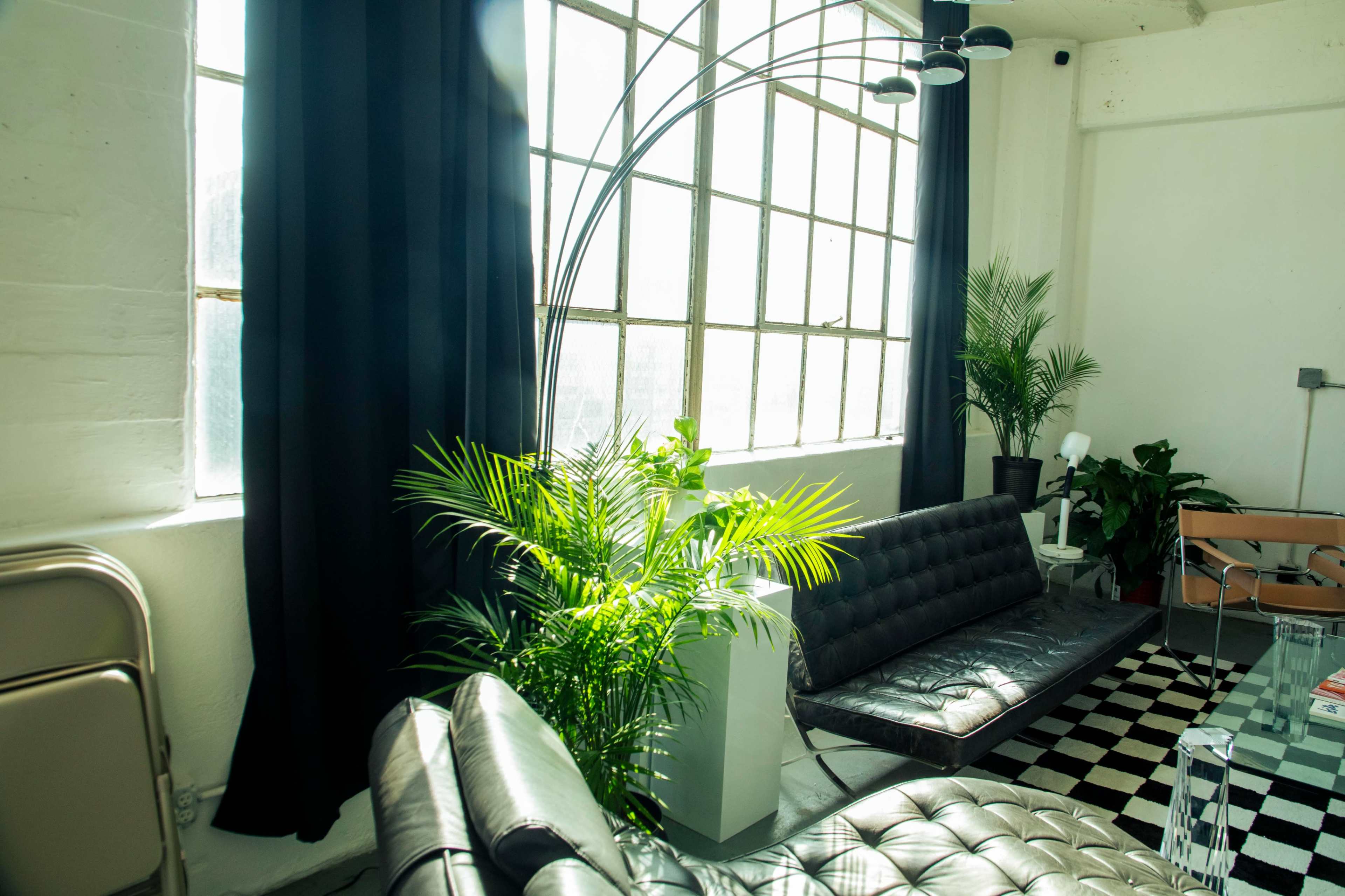 A modern interior features large windows, black curtains, a leather sofa, a glass table, and potted plants in a well-lit space.
