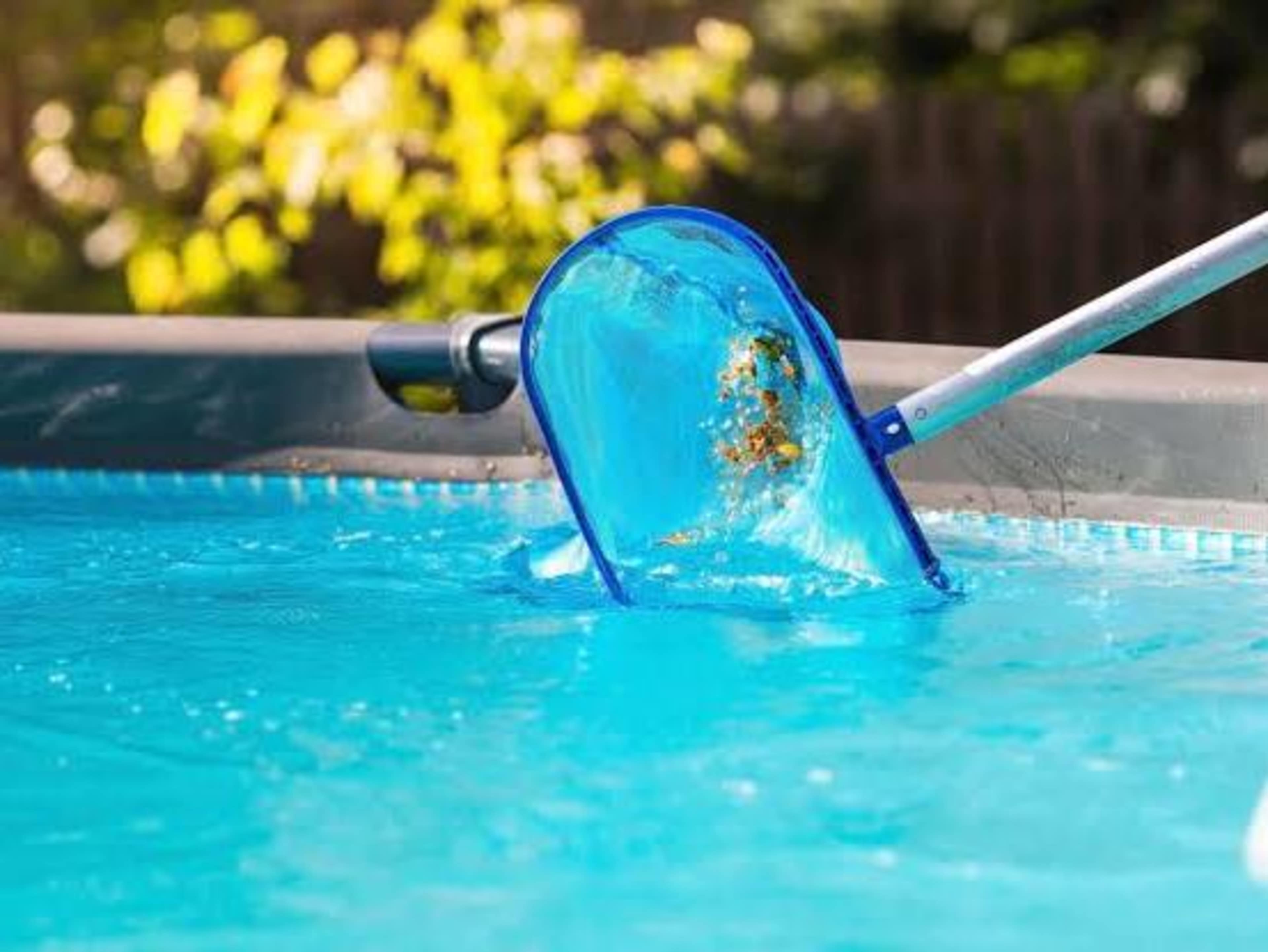 Pool Cleaning
