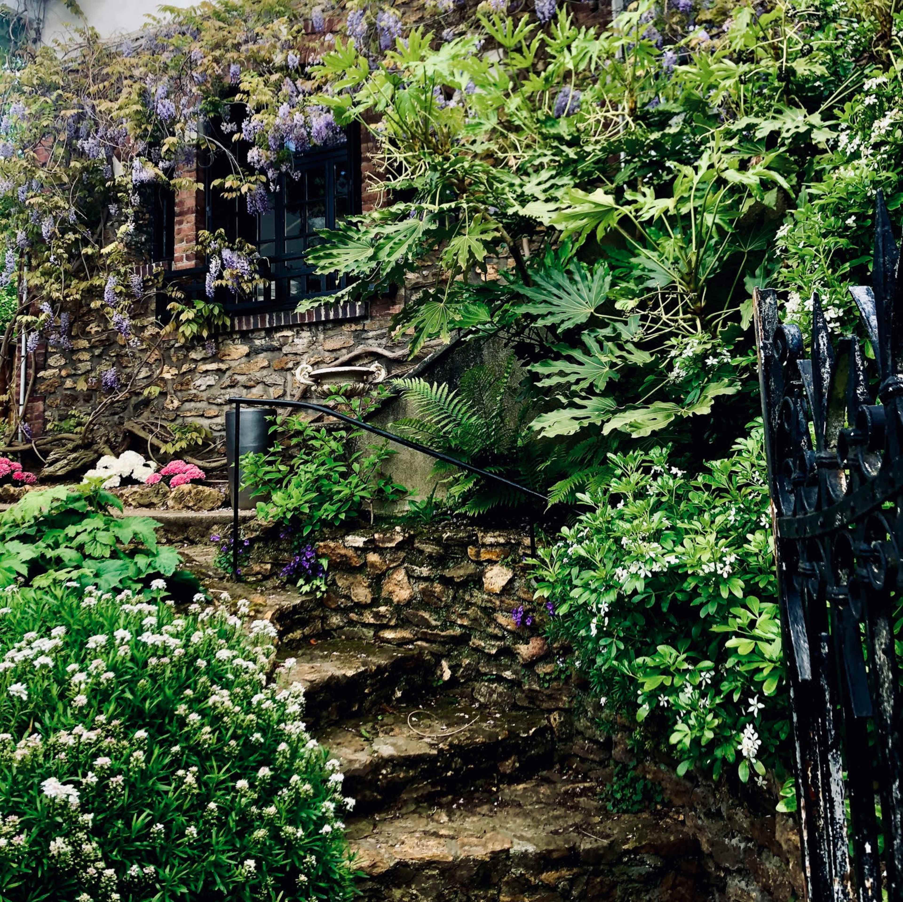 A winding stone path leads up to a house partially hidden by lush greenery and flowering plants.