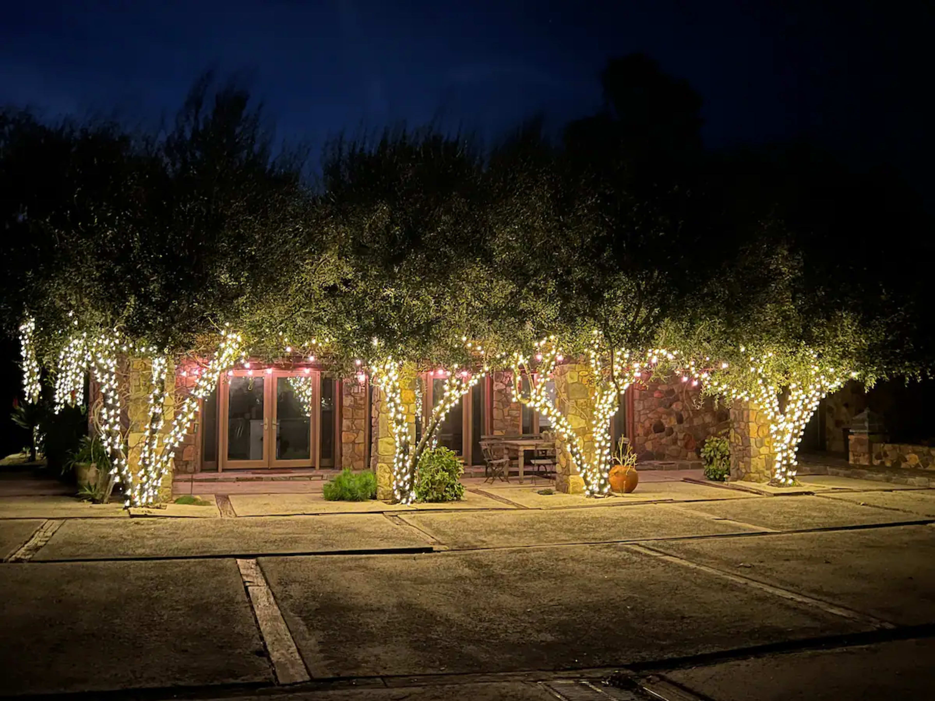 A house is illuminated by white string lights adorning the trees in front of it, creating a festive atmosphere at night.