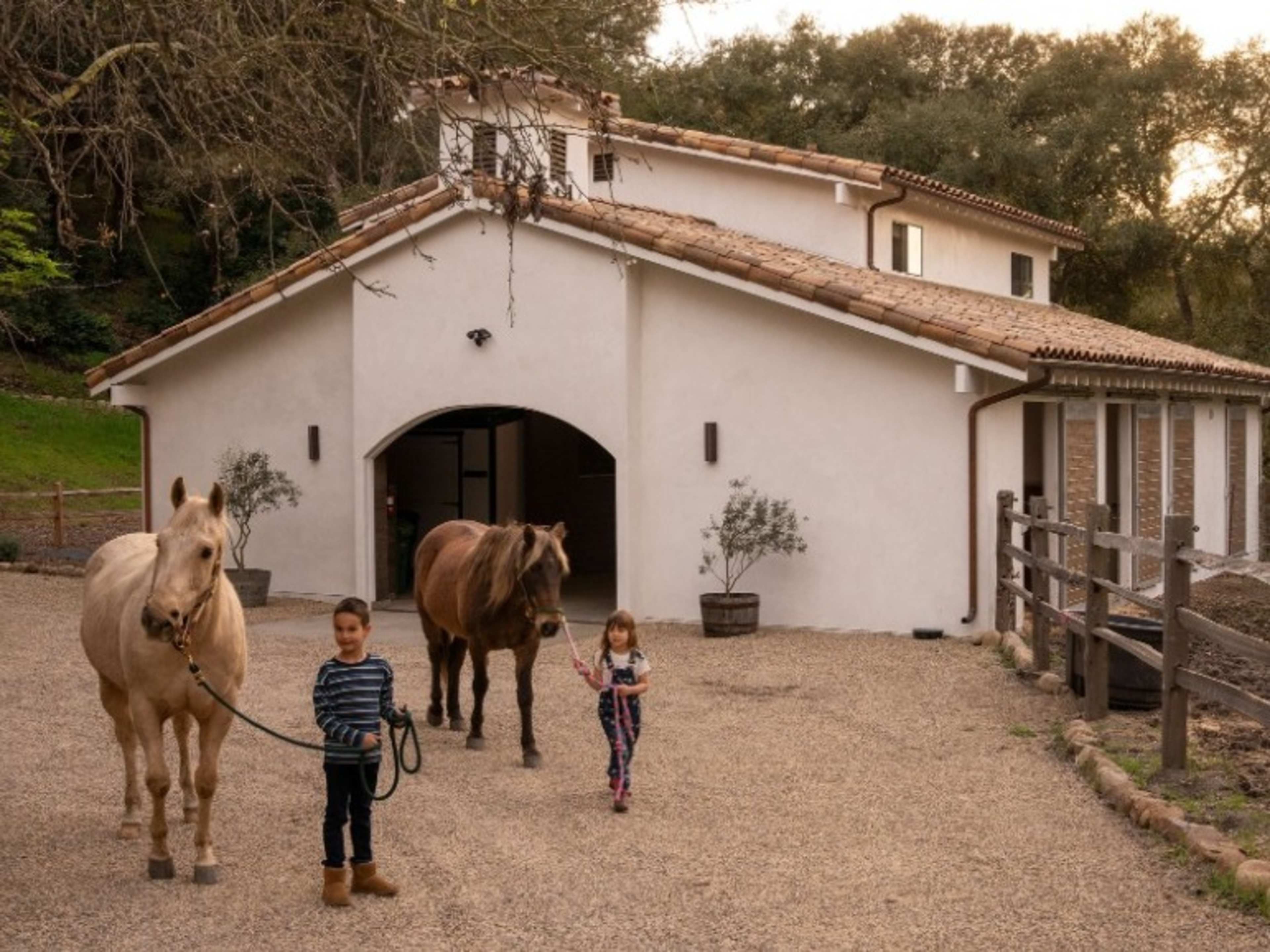 2 Horses