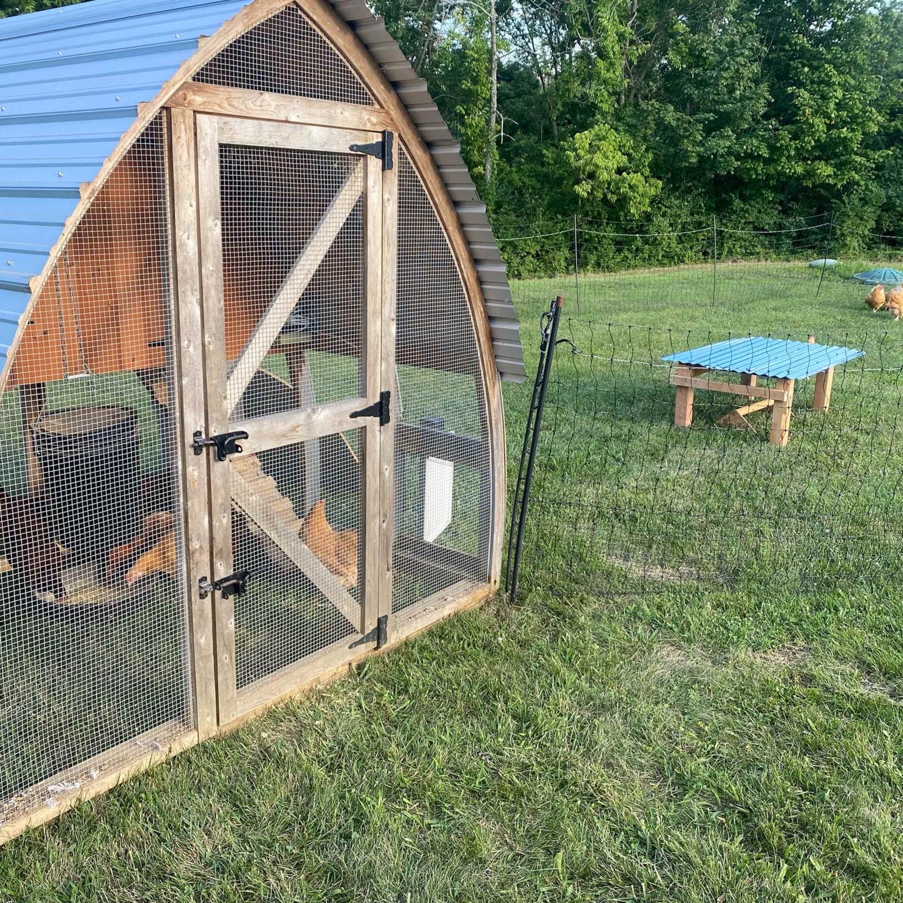 A wooden chicken coop with a blue metal roof, surrounded by a grassy area and enclosed by fencing, with two elevated wooden platforms nearby.