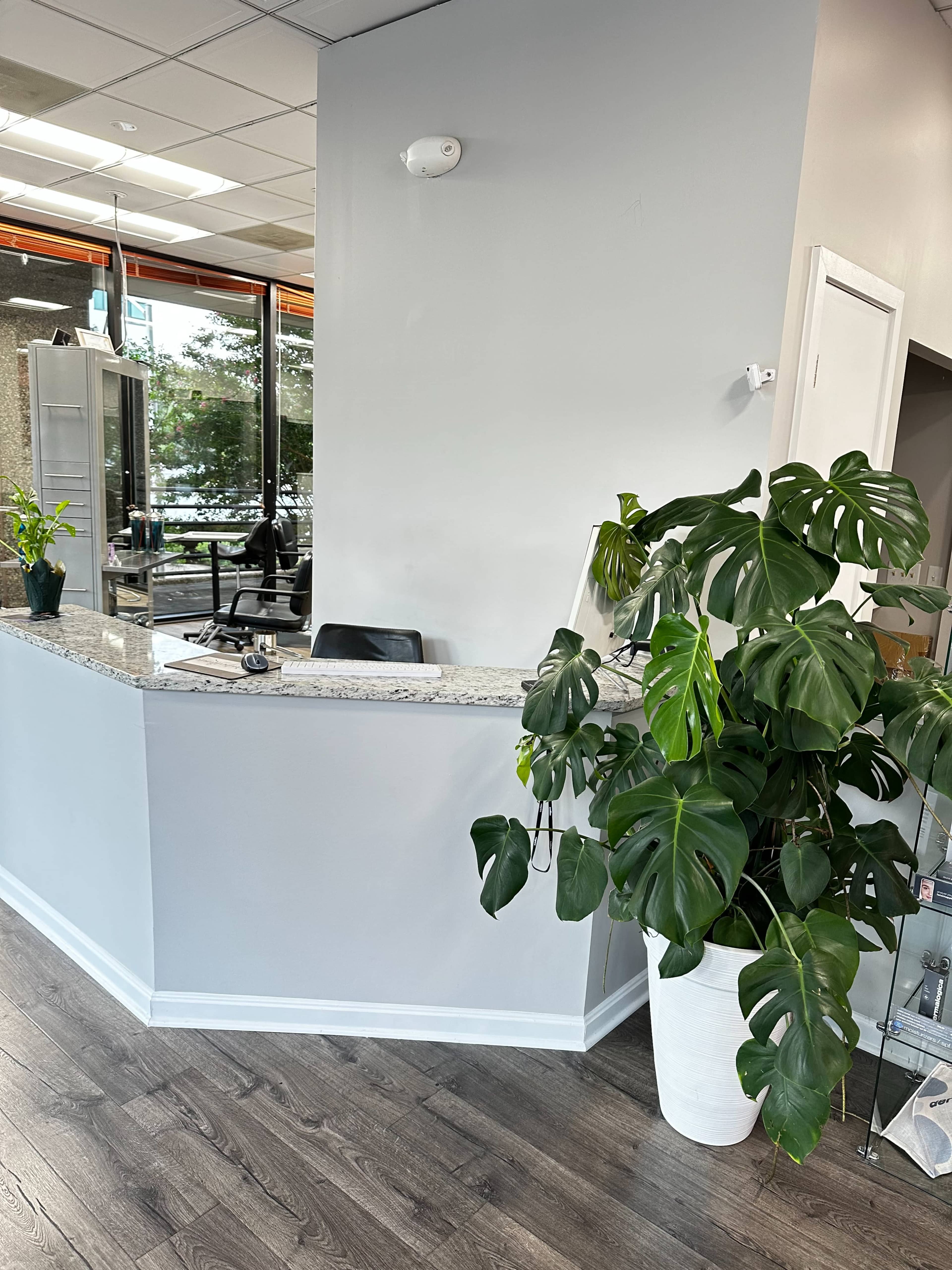 A reception area with a curved granite countertop and a large potted plant near the entrance.