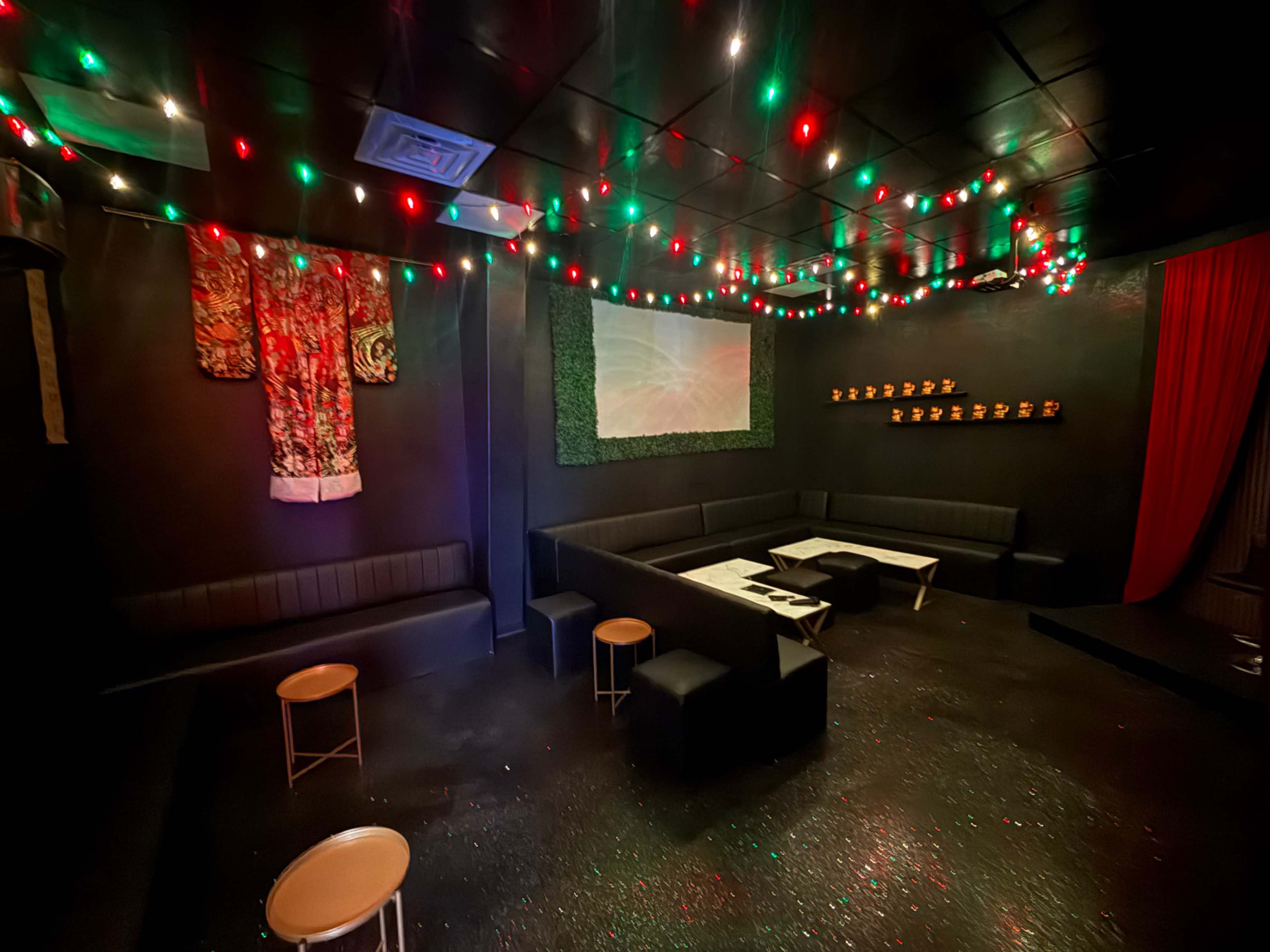 Themed private room for karaoke or events Image in Pearland, Pearland, TX