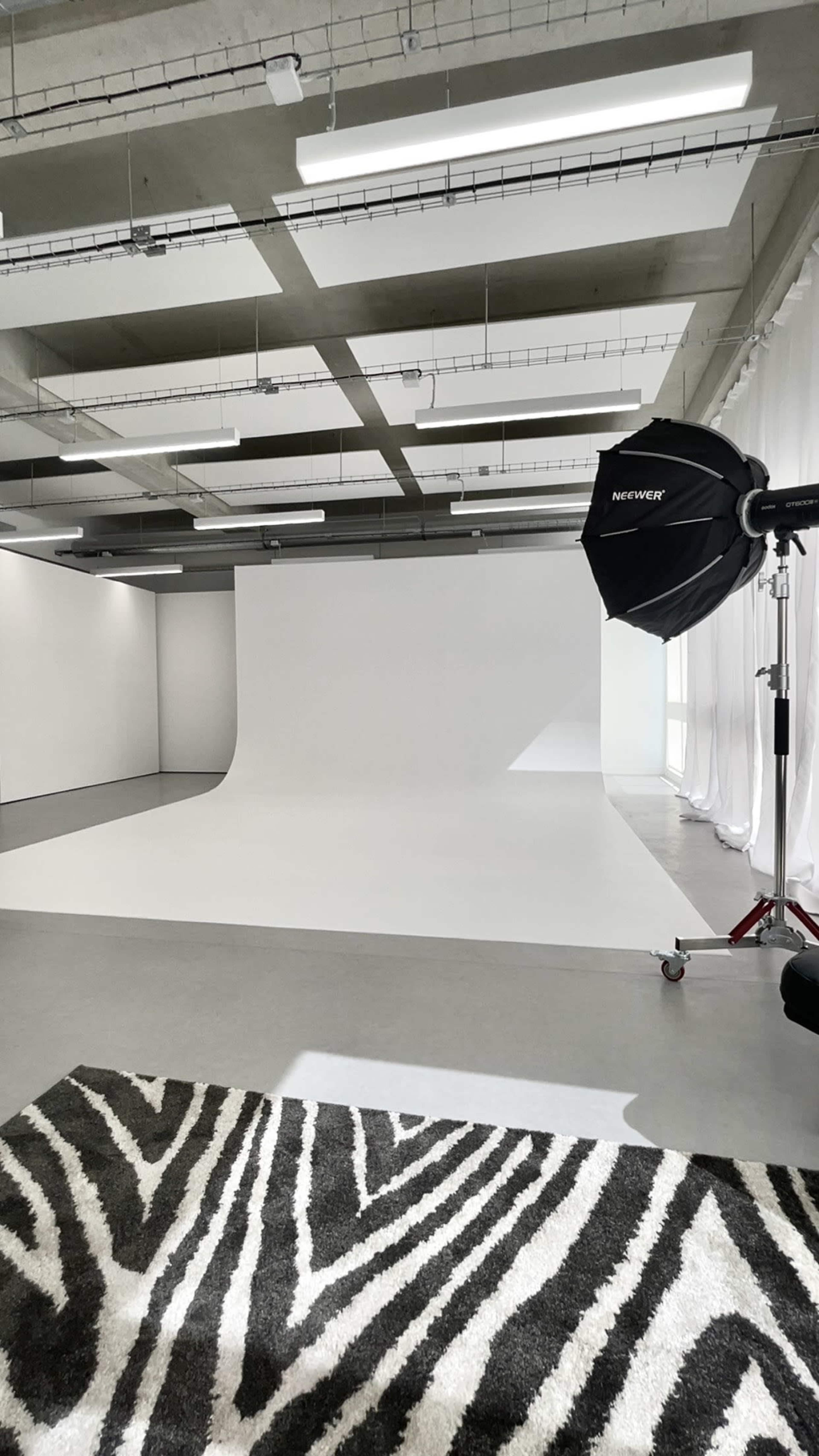 The image shows a spacious photography studio featuring a large white backdrop, soft lighting equipment, and a black and white zebra-patterned rug.