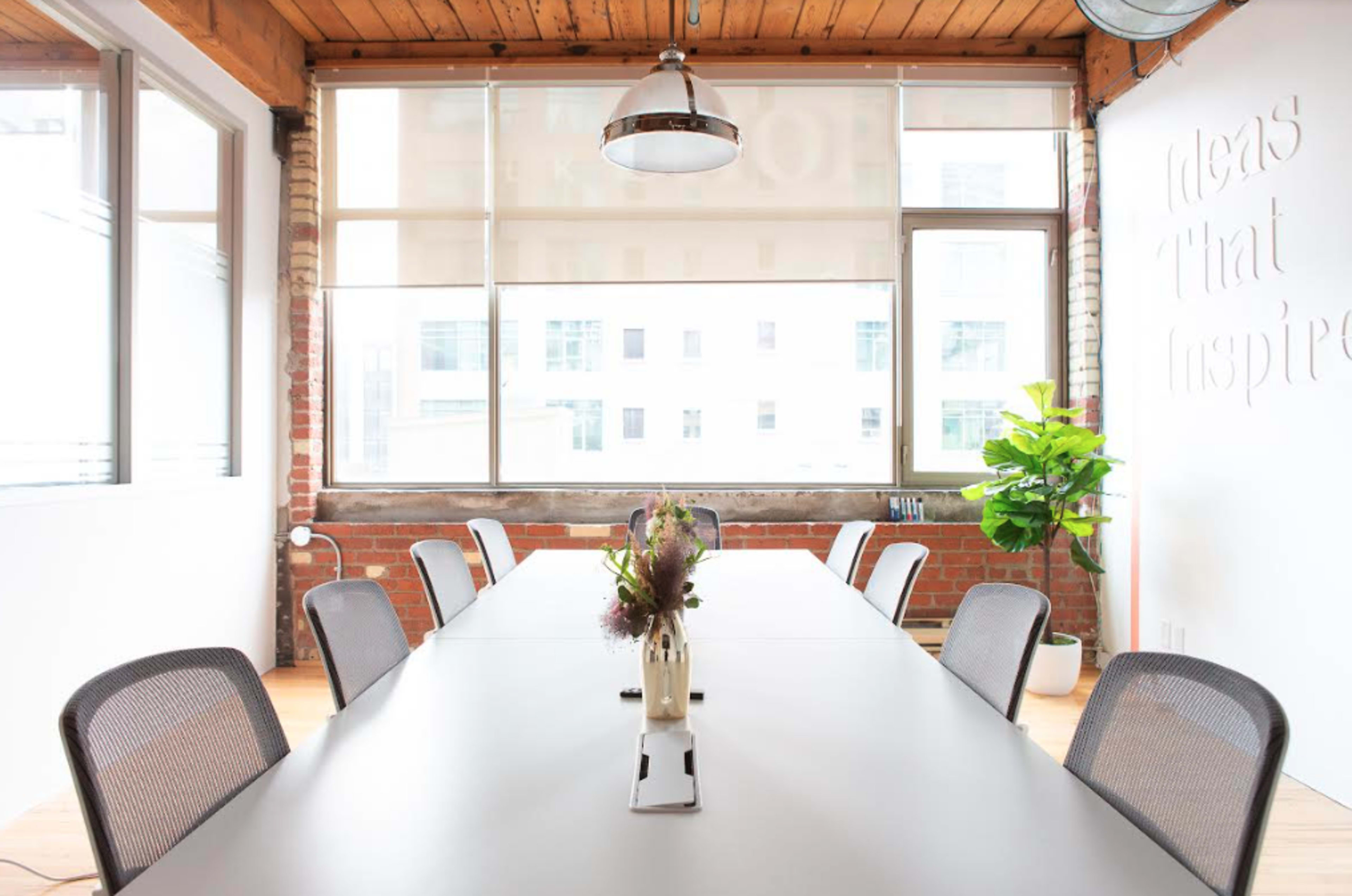 A modern conference room with a long table, mesh chairs arranged around it, large windows letting in natural light, and a potted plant on the side.