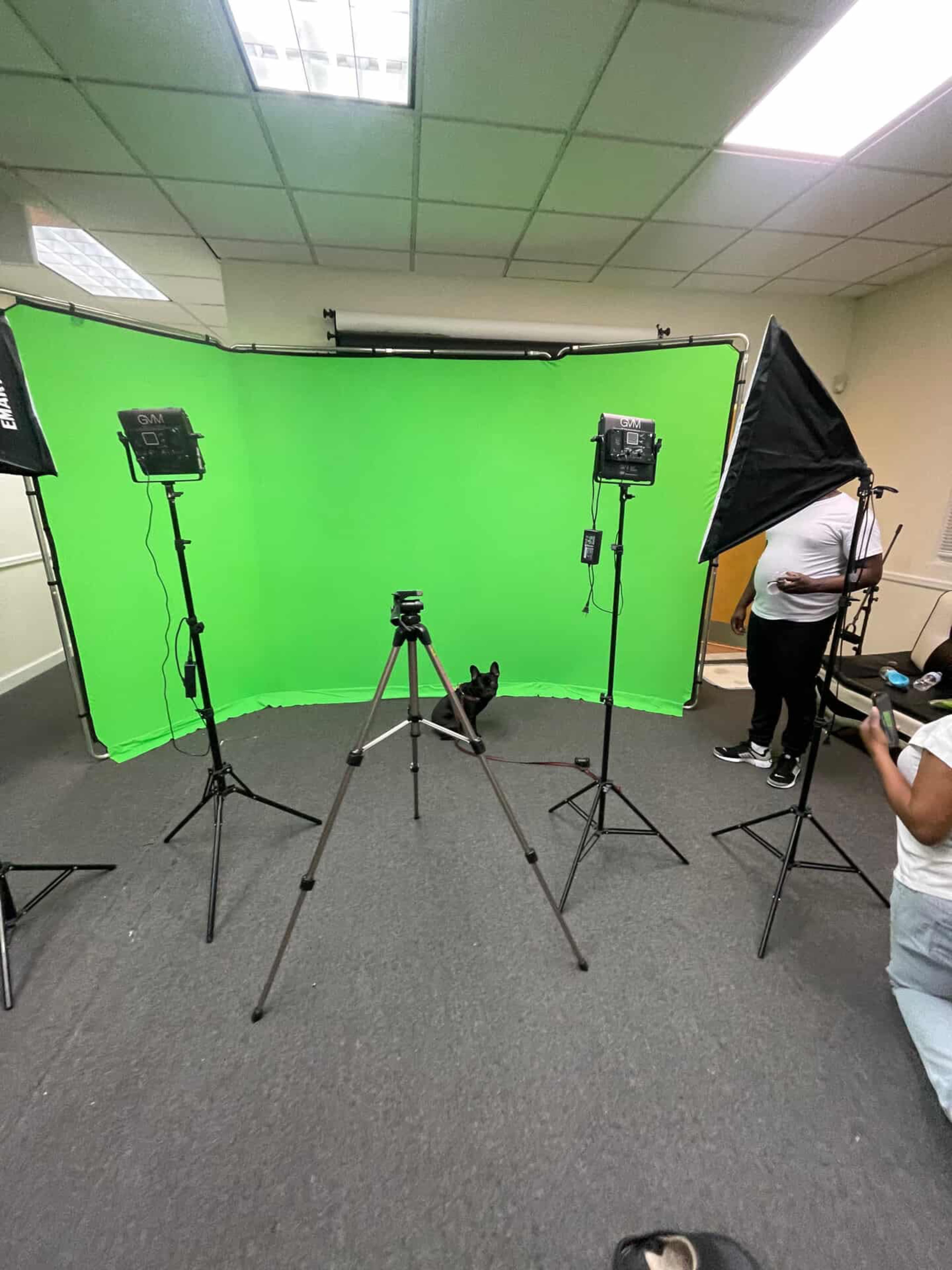 The image shows a photography studio setup with a green backdrop, three lights on stands, and a tripod in the center, while a dog stands on the floor.