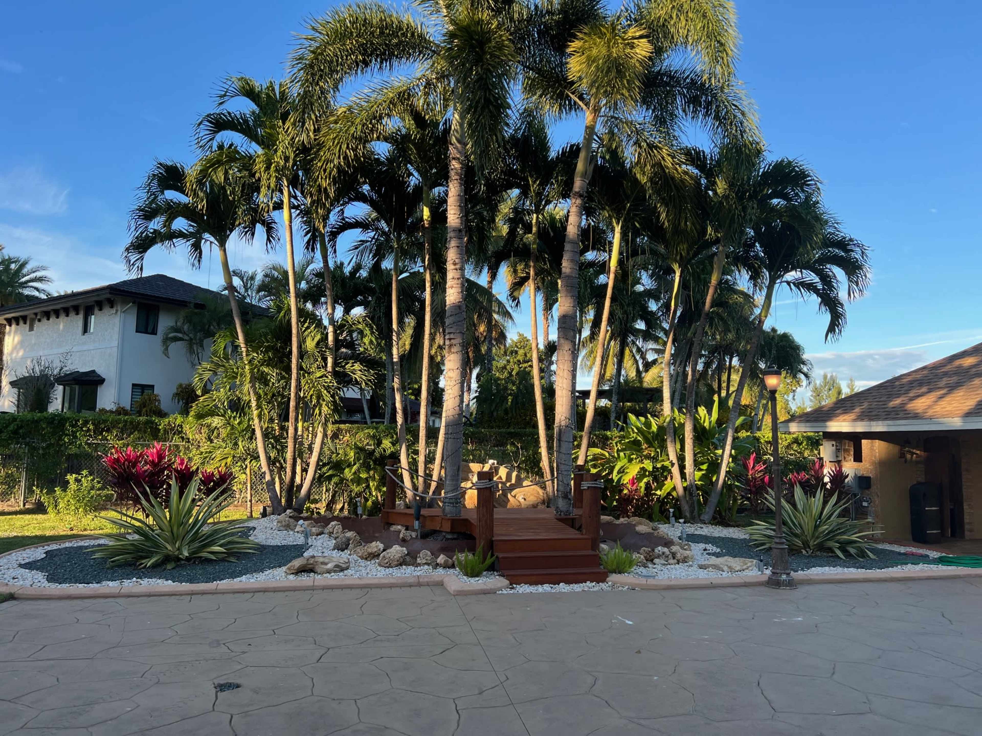 A landscaped area with palm trees, tropical plants, and a wooden deck surrounded by decorative rocks and gravel.