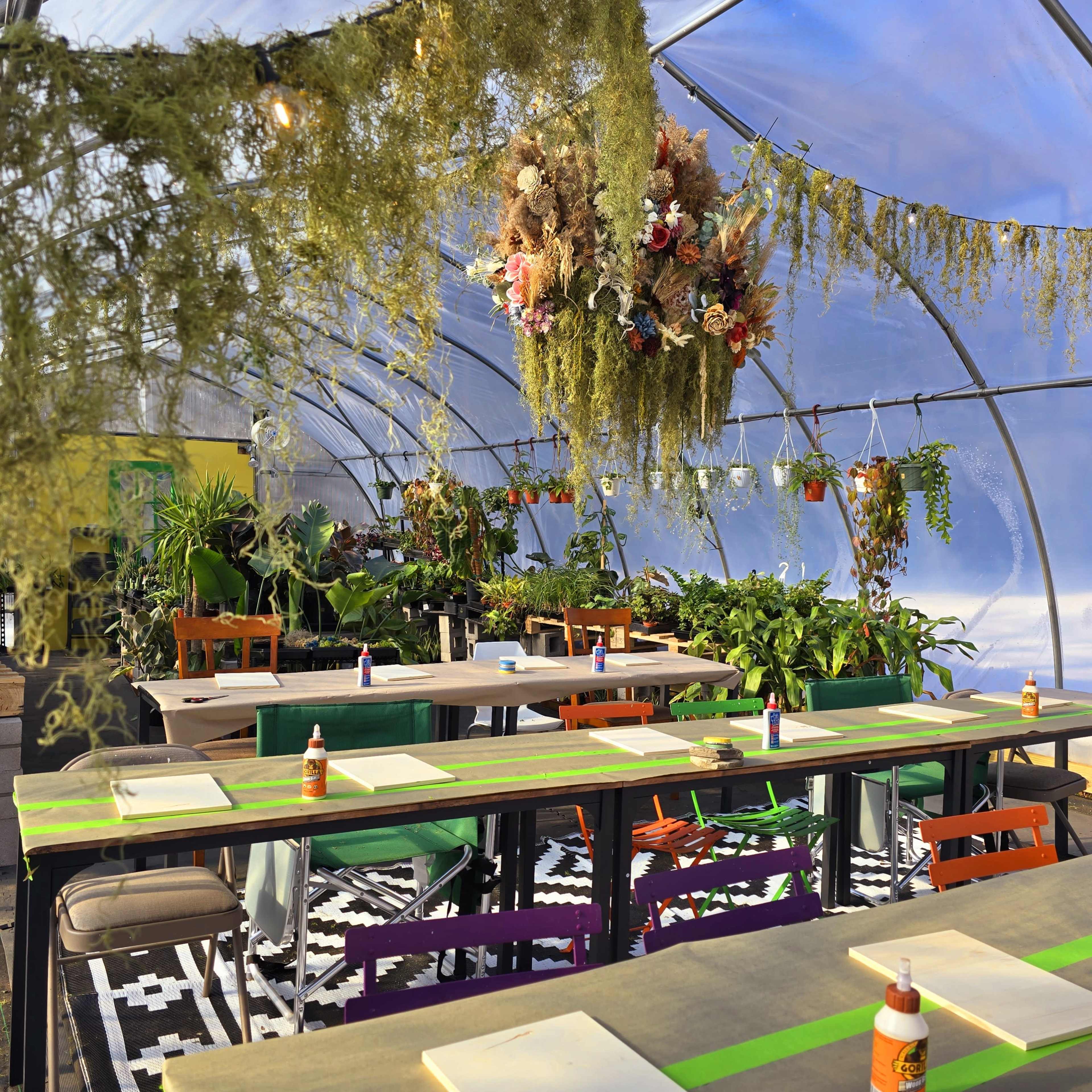 Mood-Lit Greenhouse for Intimate Gatherings & Meetings Image in Elmwood Village, Buffalo, NY