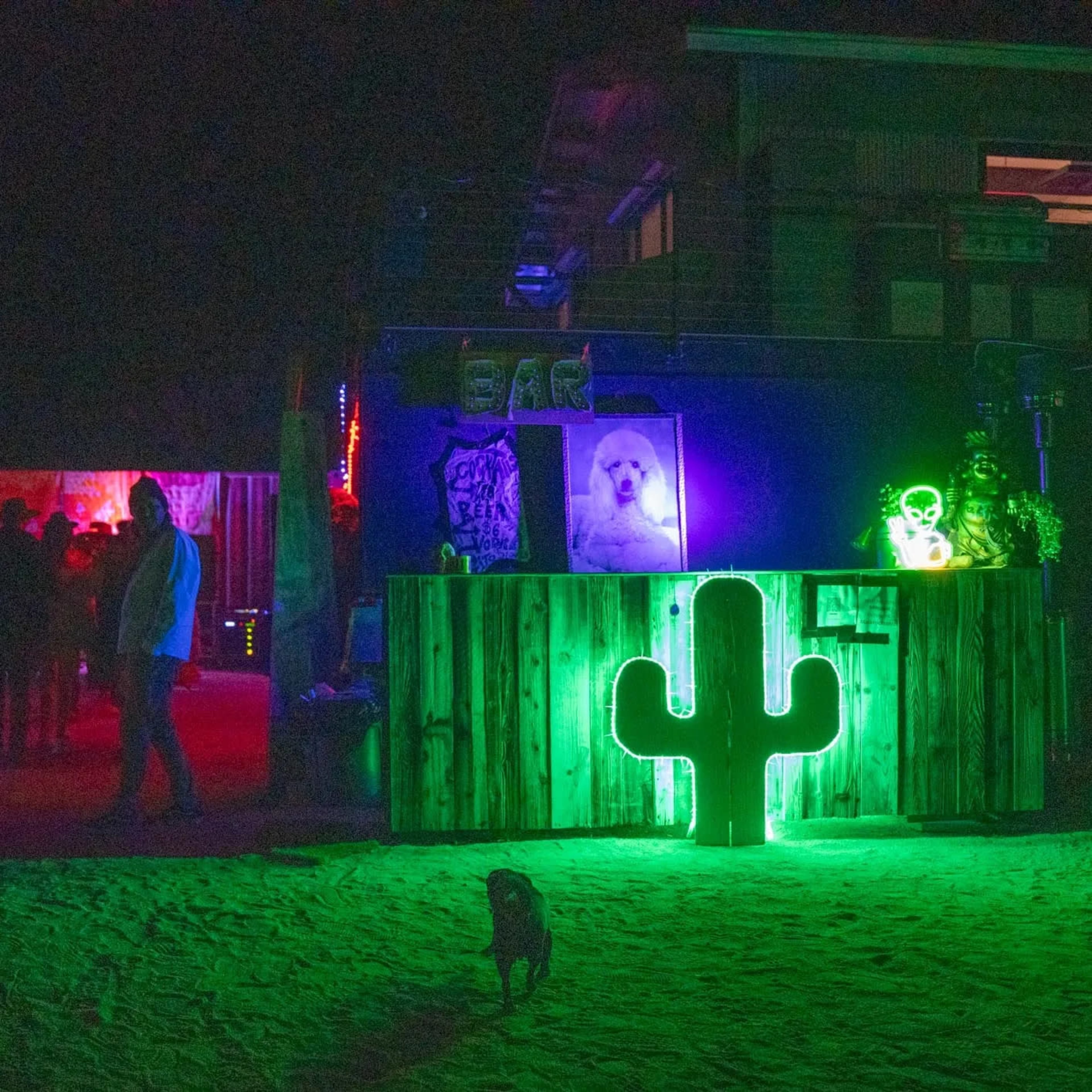 A brightly lit bar area, featuring a neon green cactus sign, stands in a dimly lit outdoor setting with people mingling in the background.