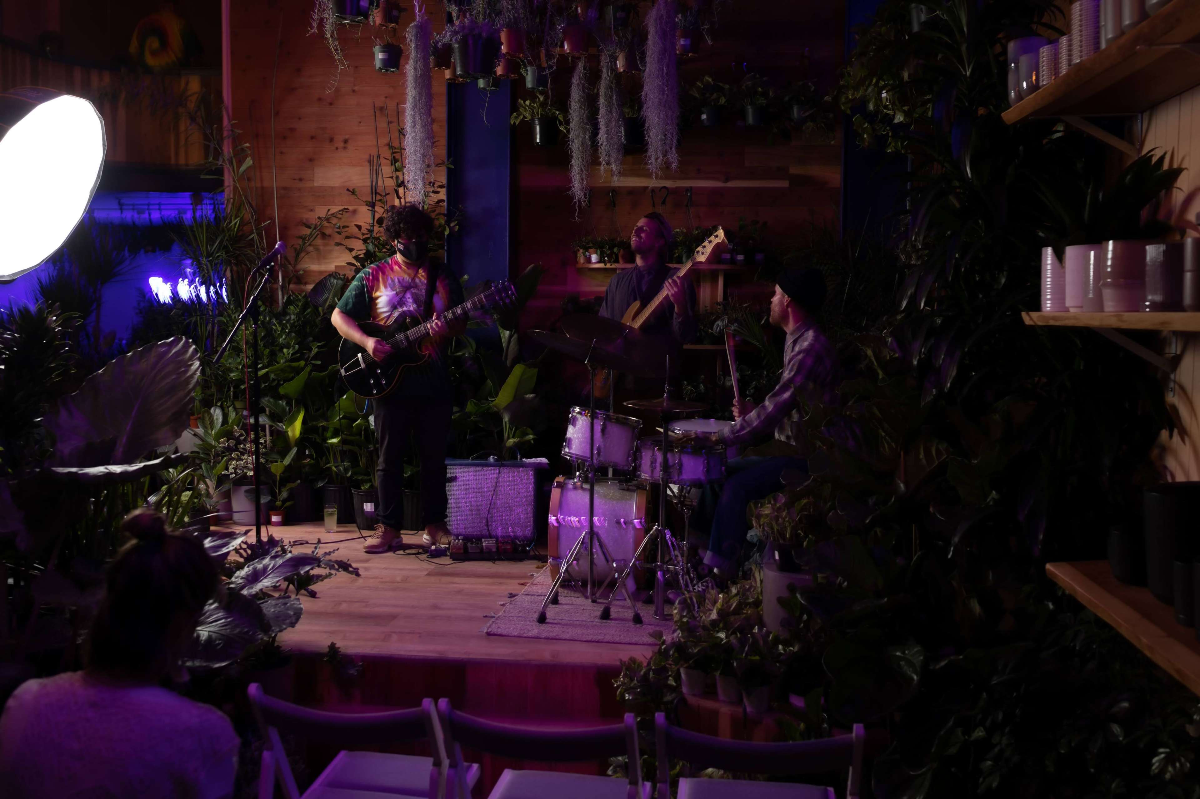 A trio of musicians performs on a small stage surrounded by various plants and illuminated by colorful lighting.