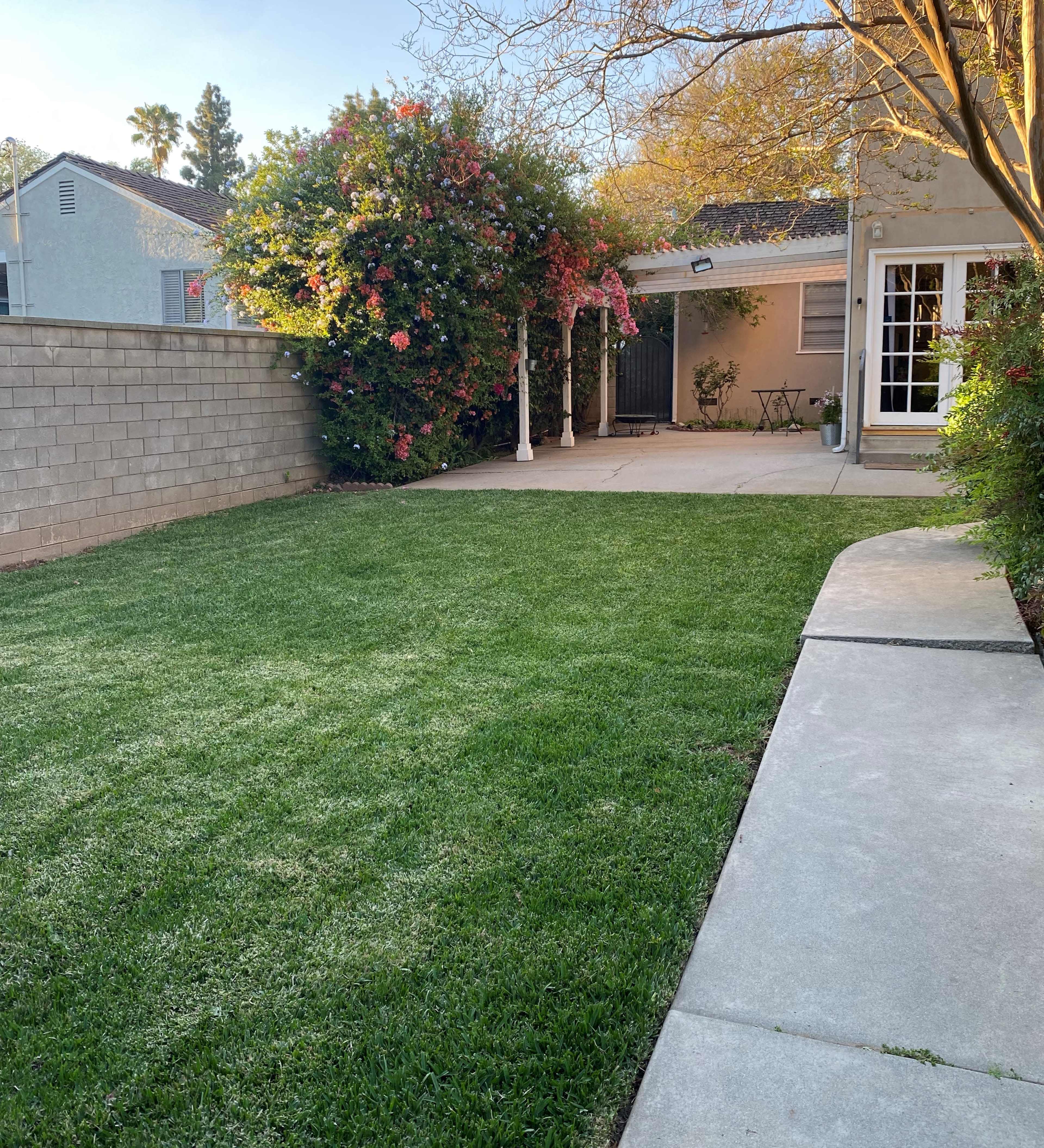 A well-maintained backyard with a green lawn, concrete path, a flowering bush, and a patio area with outdoor furniture.