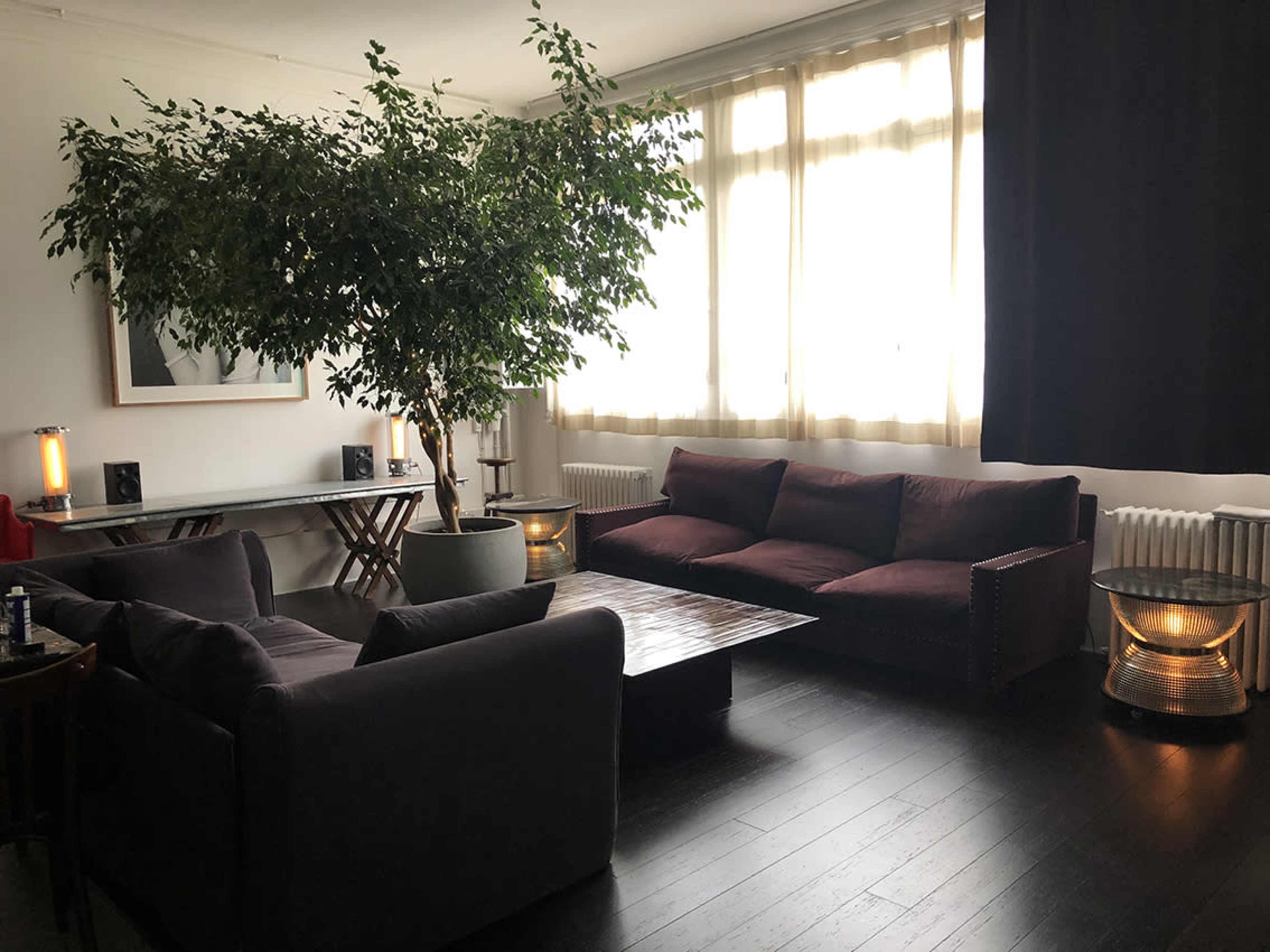A modern living room featuring a large plant, two sofas, a coffee table, and large windows with sheer curtains.
