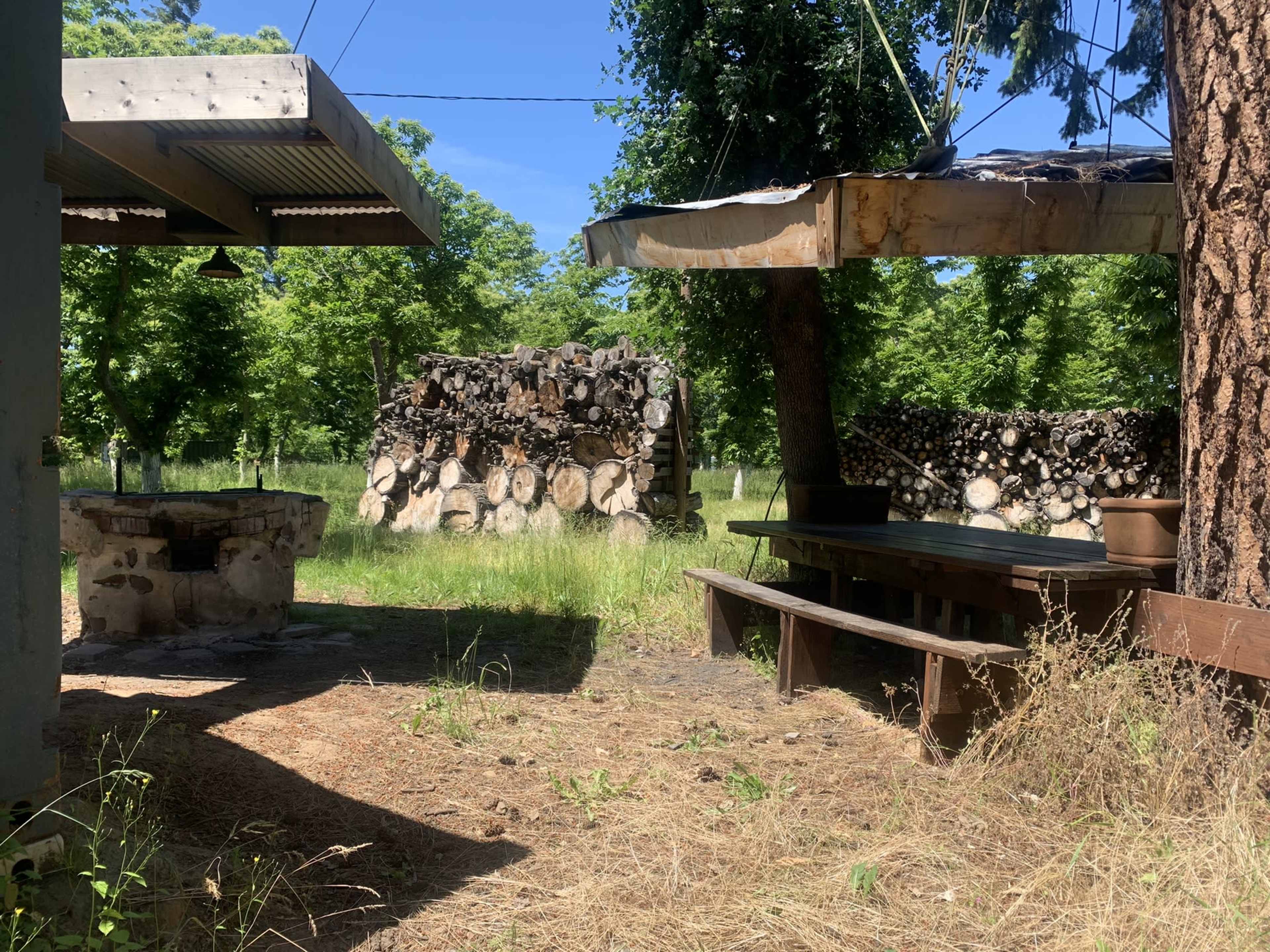 The scene depicts a grassy area with a stone fire pit, a wooden bench, and stacked logs in the background under clear blue skies.