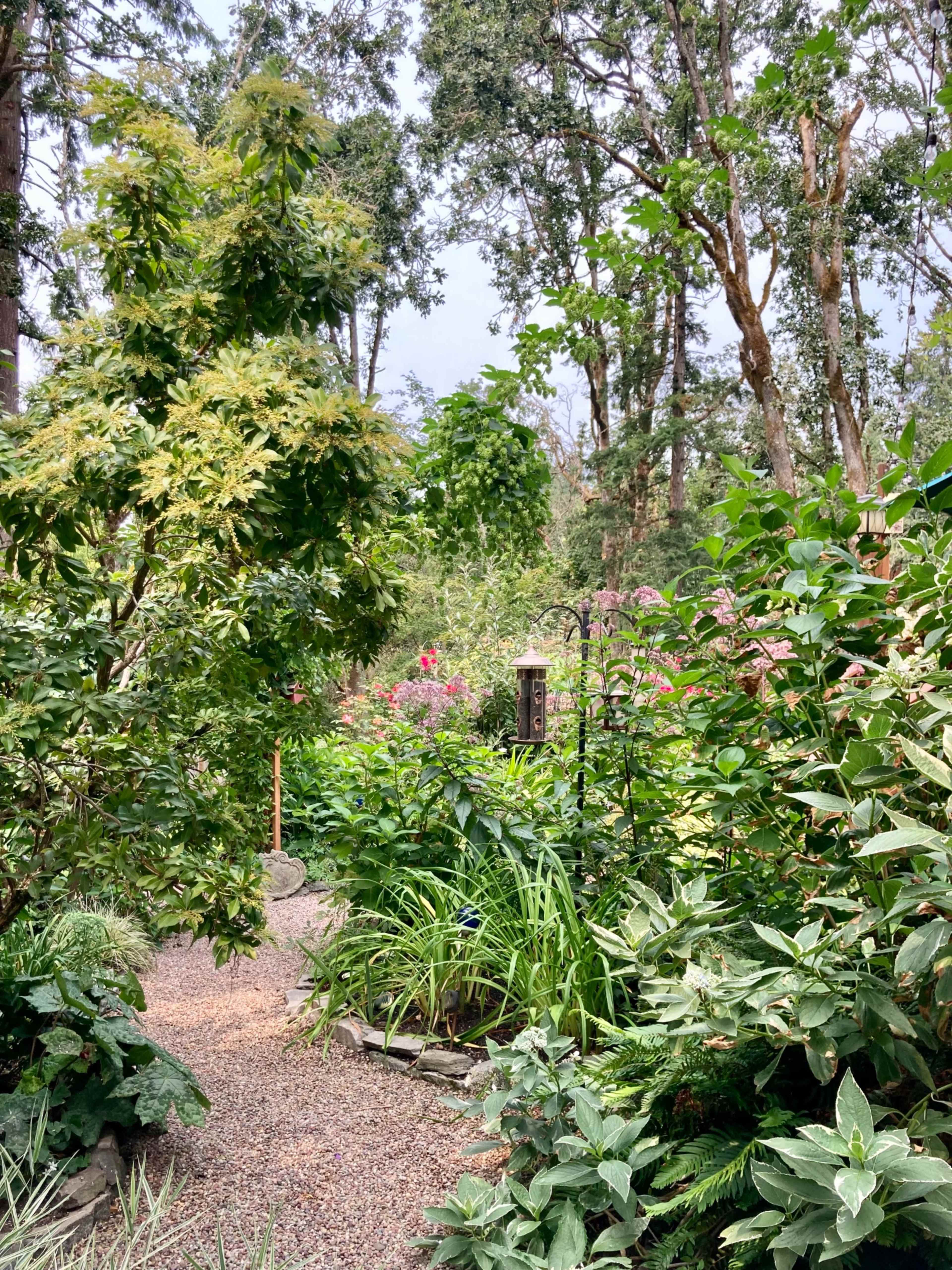 A path winds through a lush garden filled with various plants and trees under a cloudy sky.