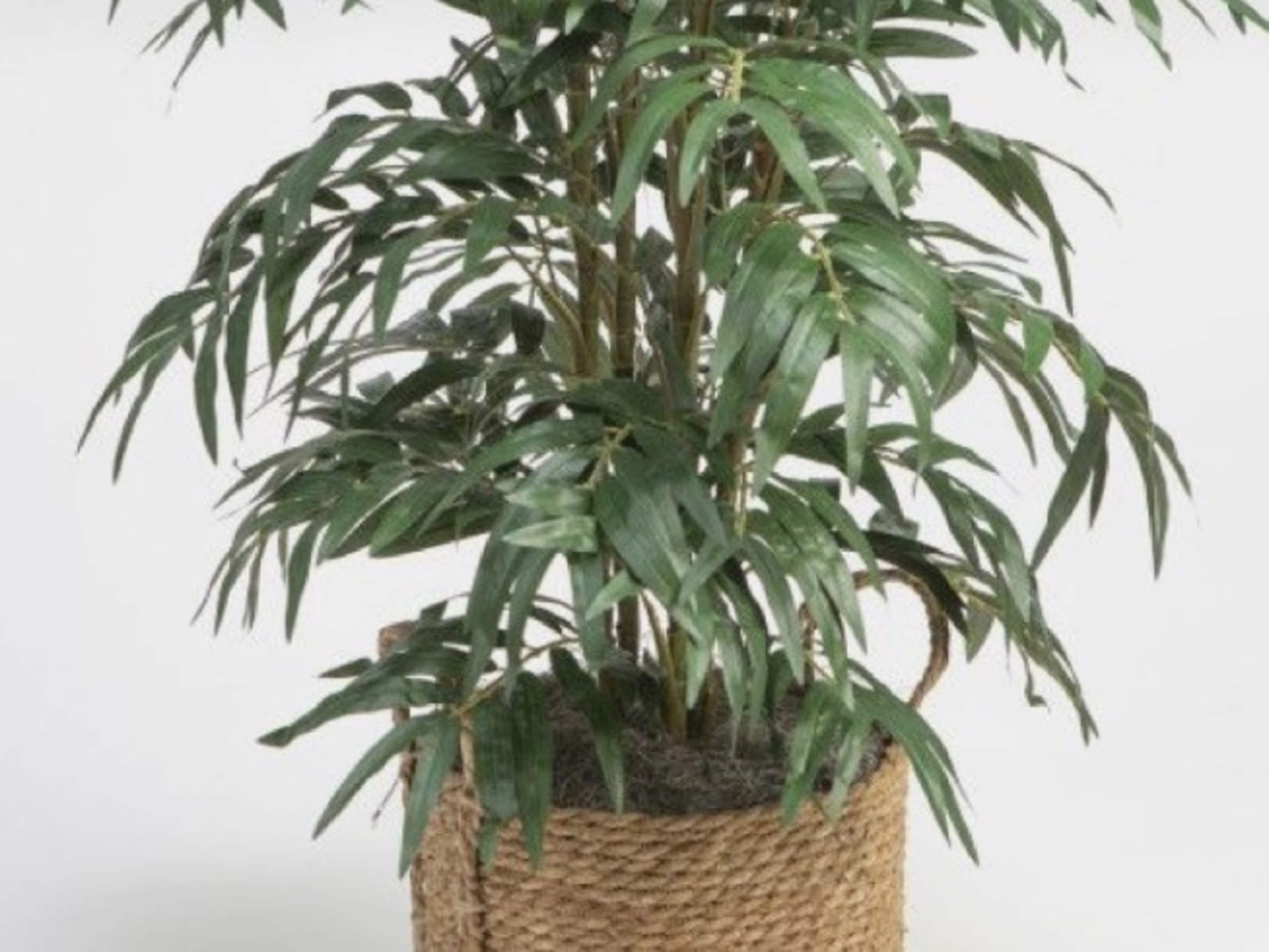 Decor + Prop Package