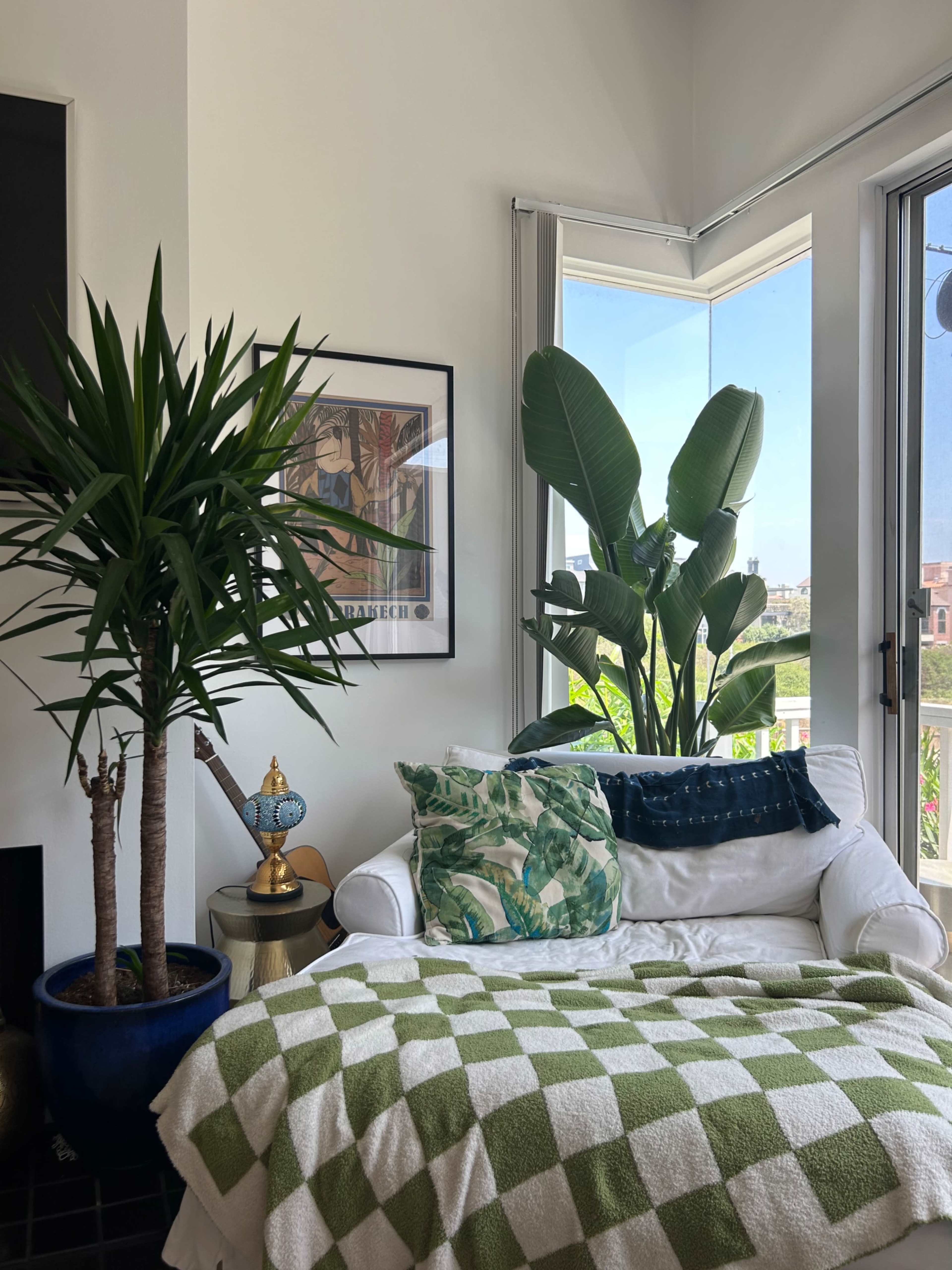 A cozy seating area features a white couch adorned with a green and white checkered blanket, surrounded by large potted plants and framed artwork, with natural light streaming in through the windows.