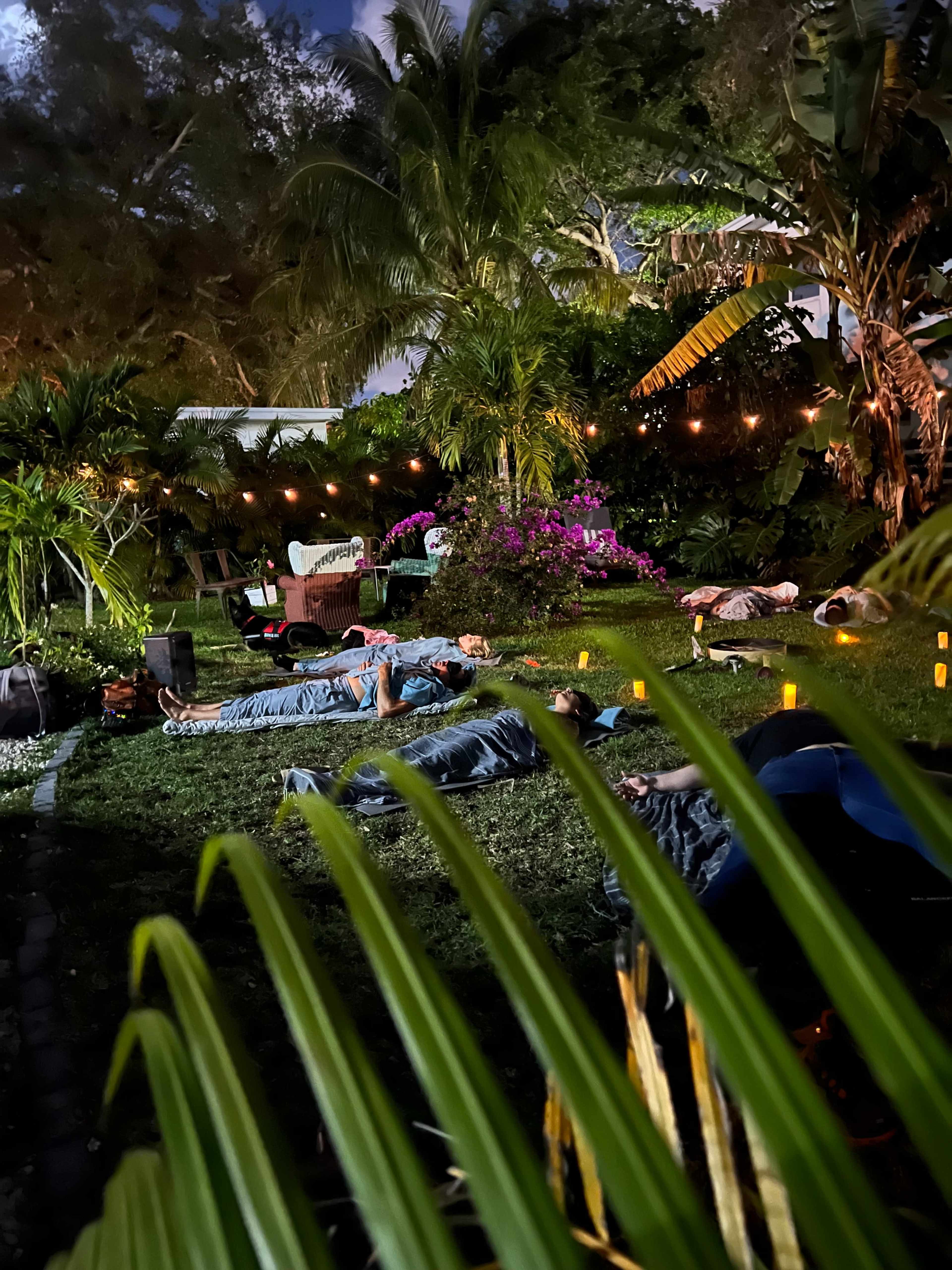 A group of people lies on the grass in a garden, surrounded by palm trees and ambient lighting.