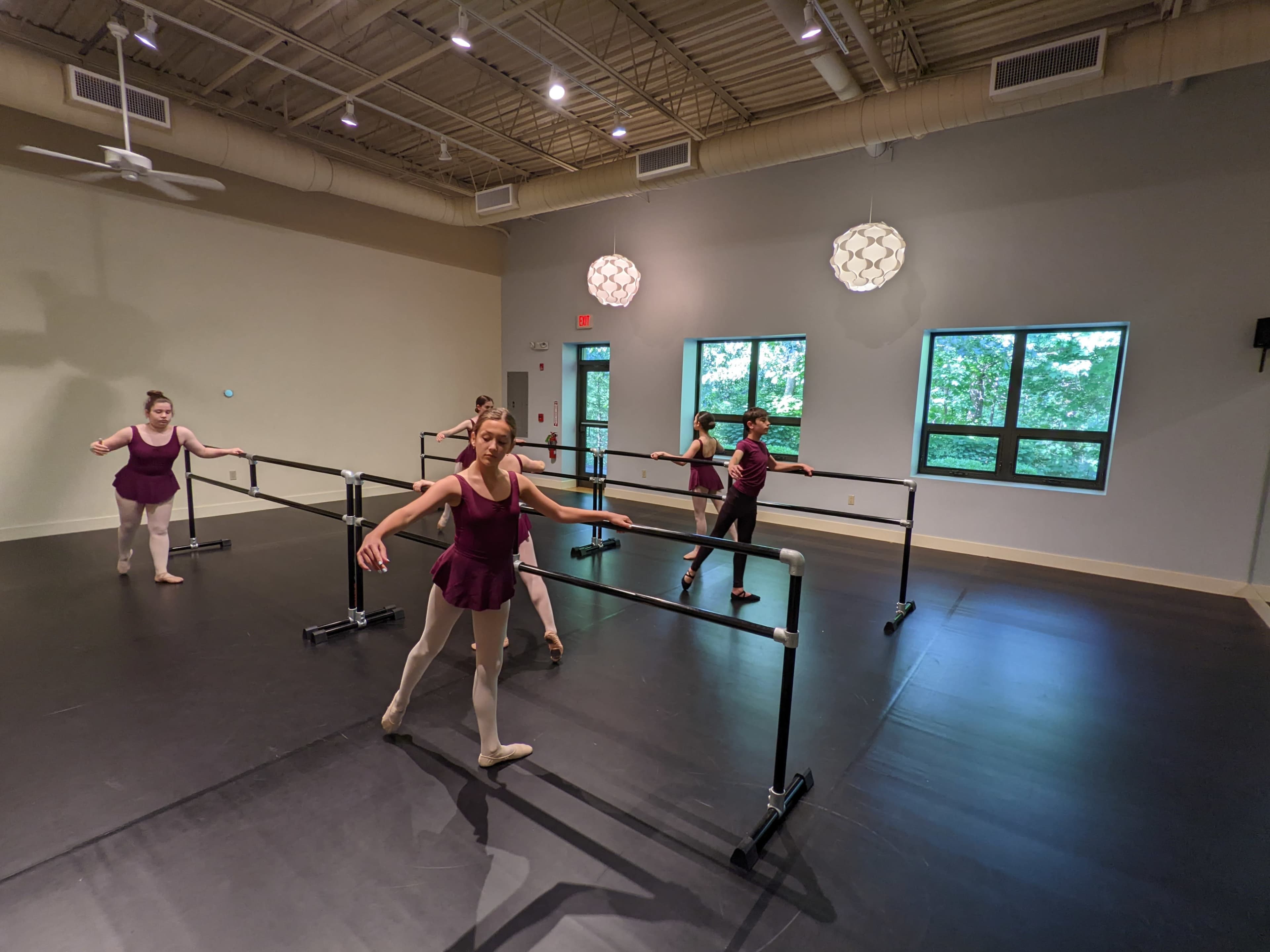 A group of ballet dancers practices at the barre in a well-lit studio with large windows.