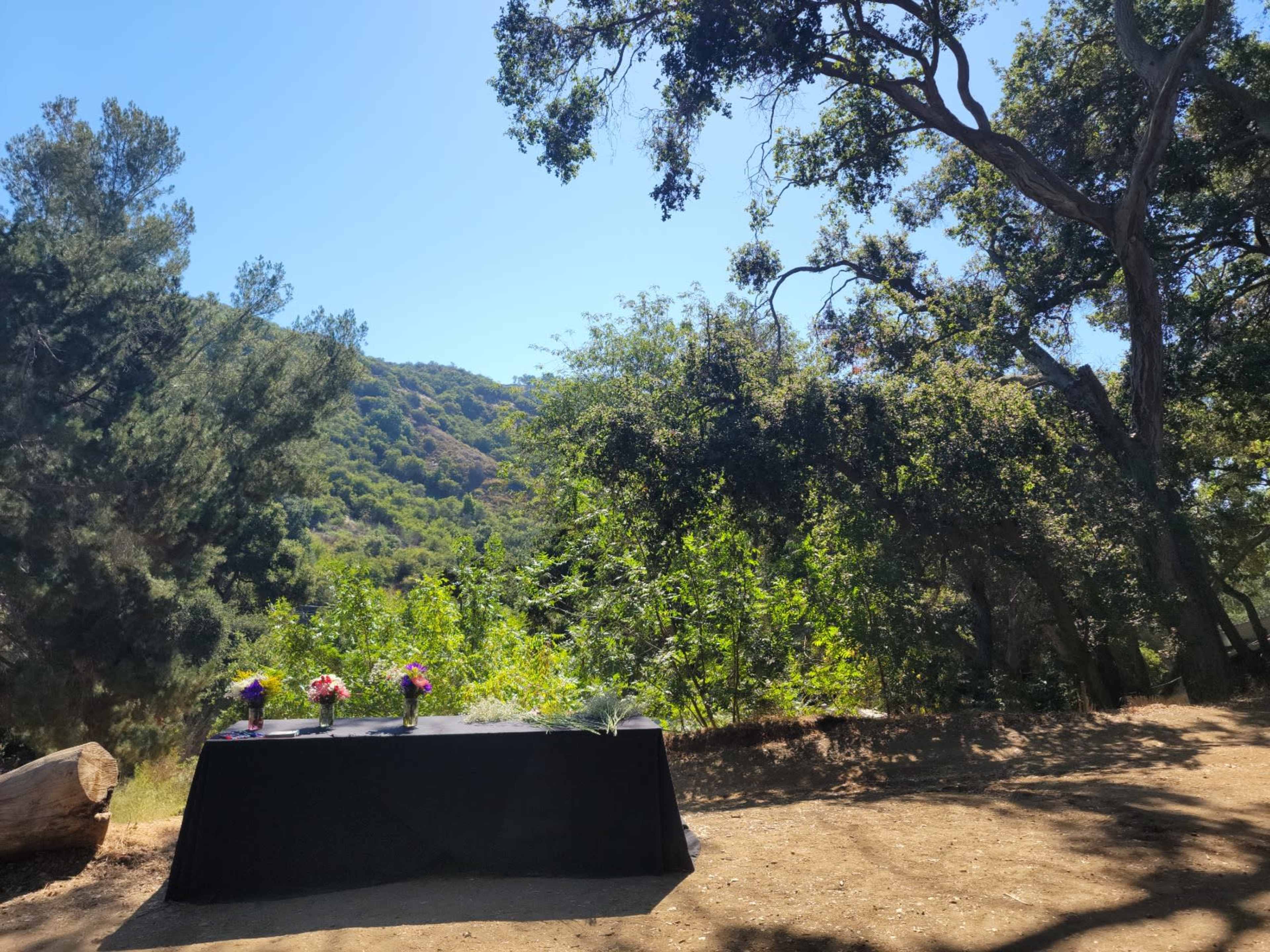 A black table adorned with flowers is set in a clearing surrounded by trees and mountains.