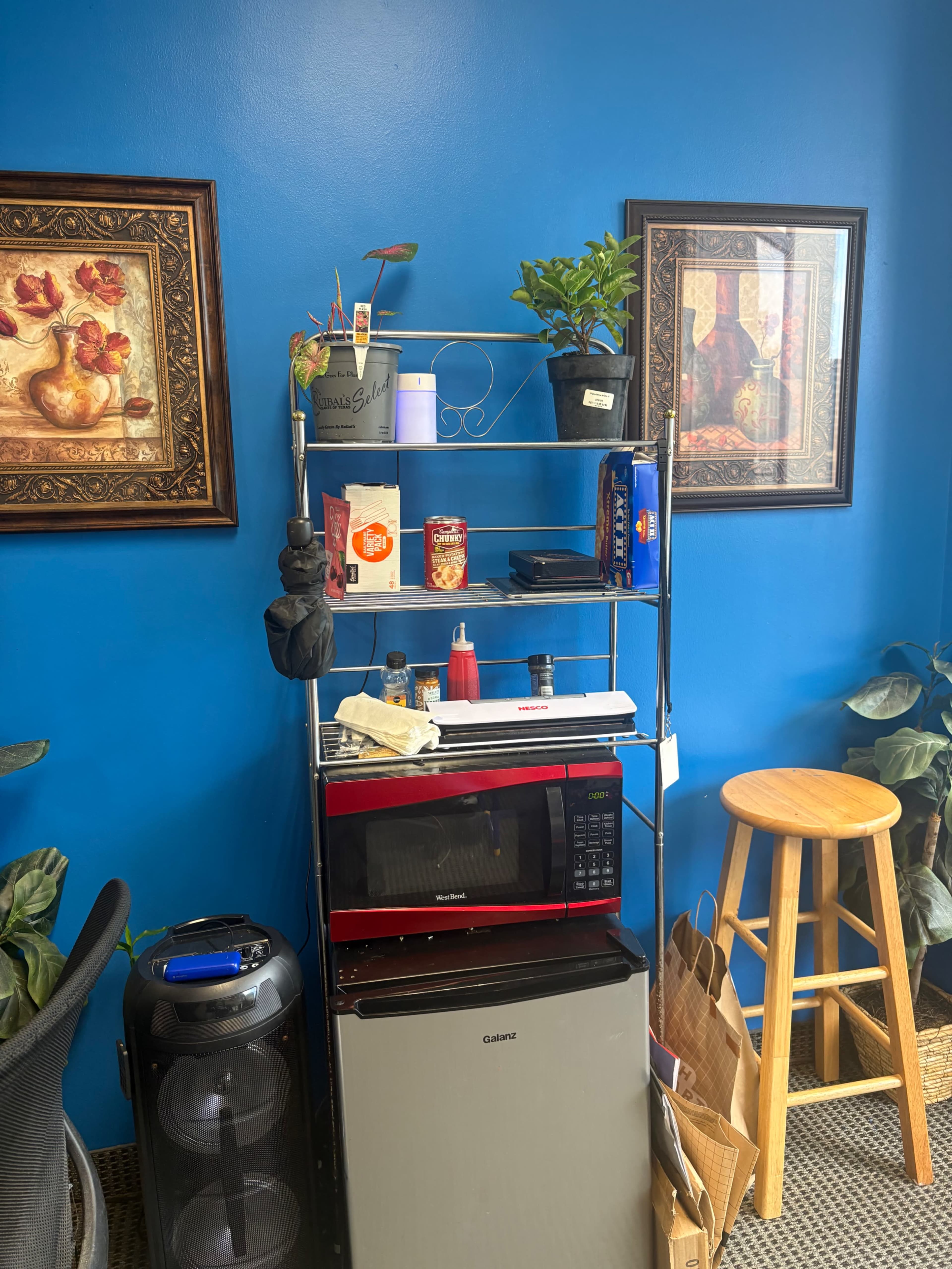 The image shows a black metal shelving unit with a microwave and small refrigerator at the bottom, surrounded by decorative plants and framed artwork on a blue wall.
