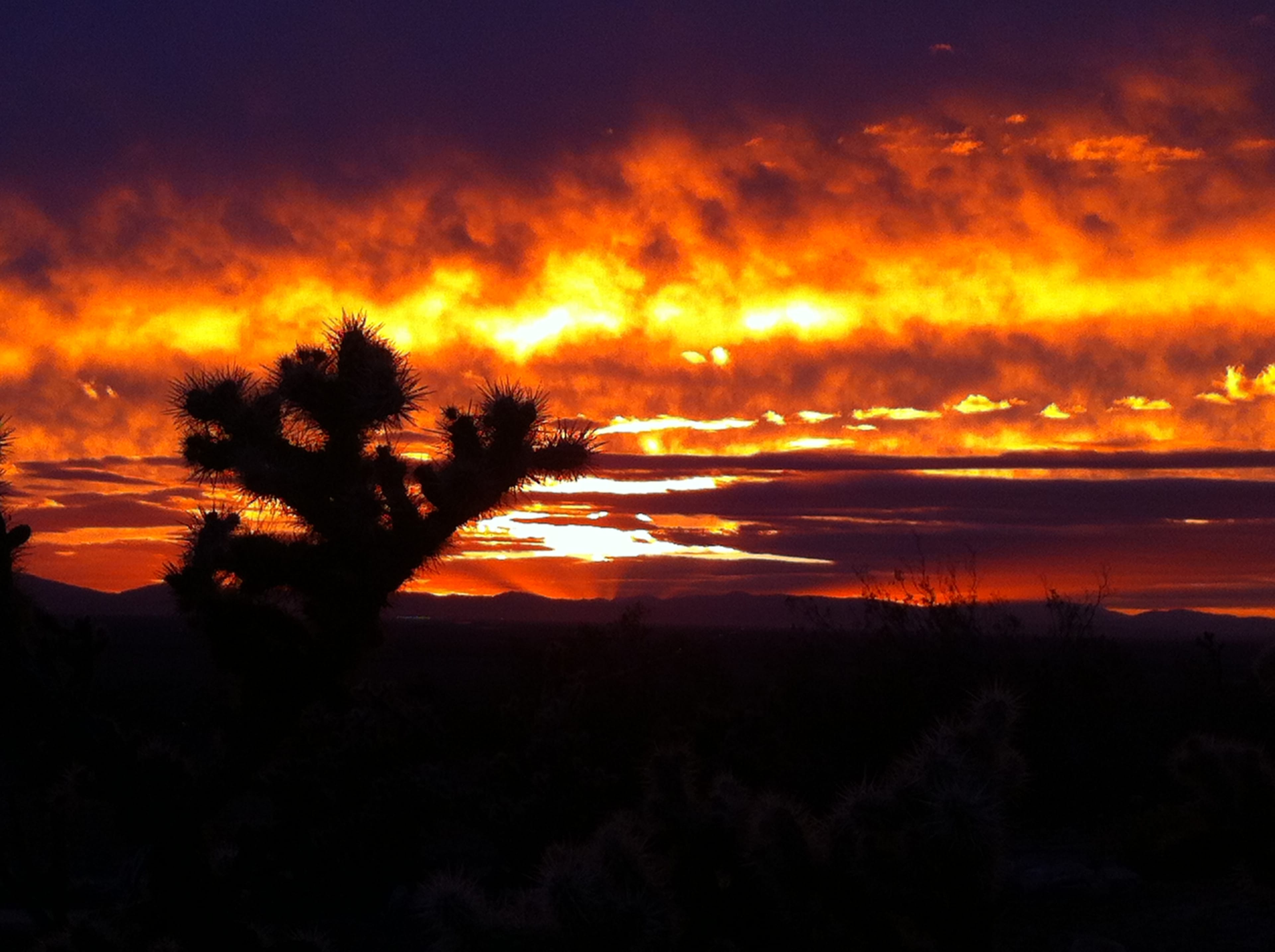 The image shows a vibrant sunset with orange and yellow hues behind dark silhouettes of cacti and mountains.