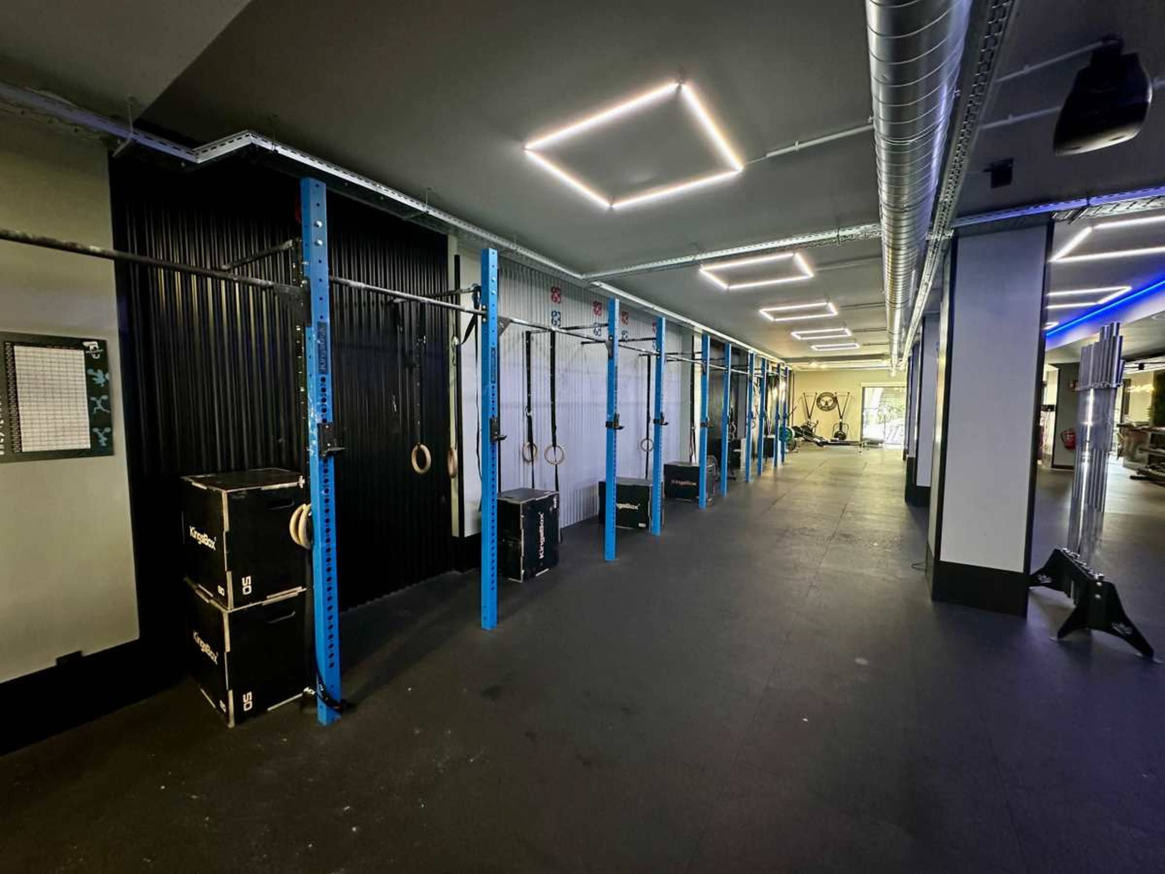 A modern gym interior featuring a row of gymnastic rings mounted on blue vertical bars next to black storage boxes on the floor.