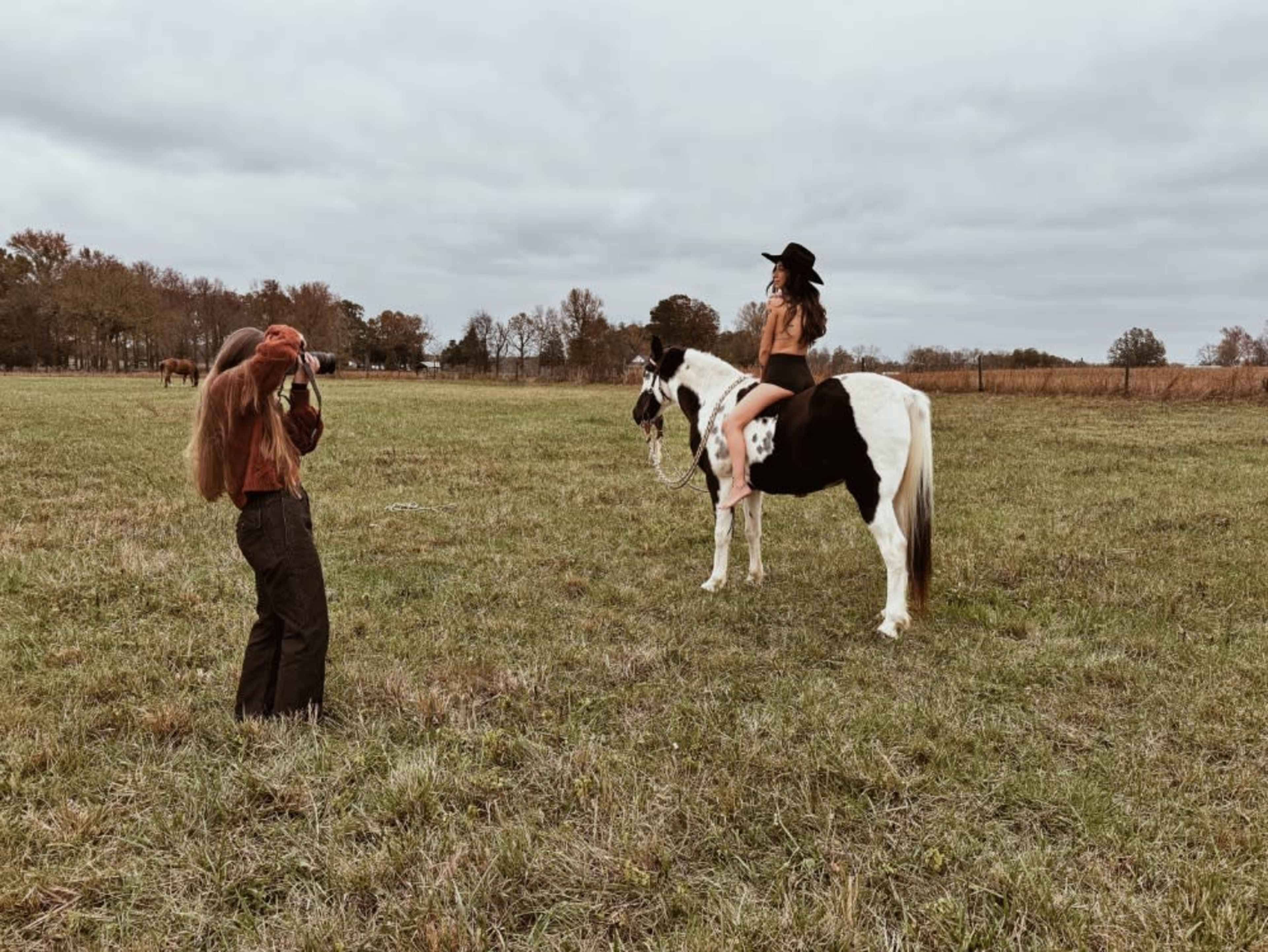 Horse or Donkey ON-SITE rental 