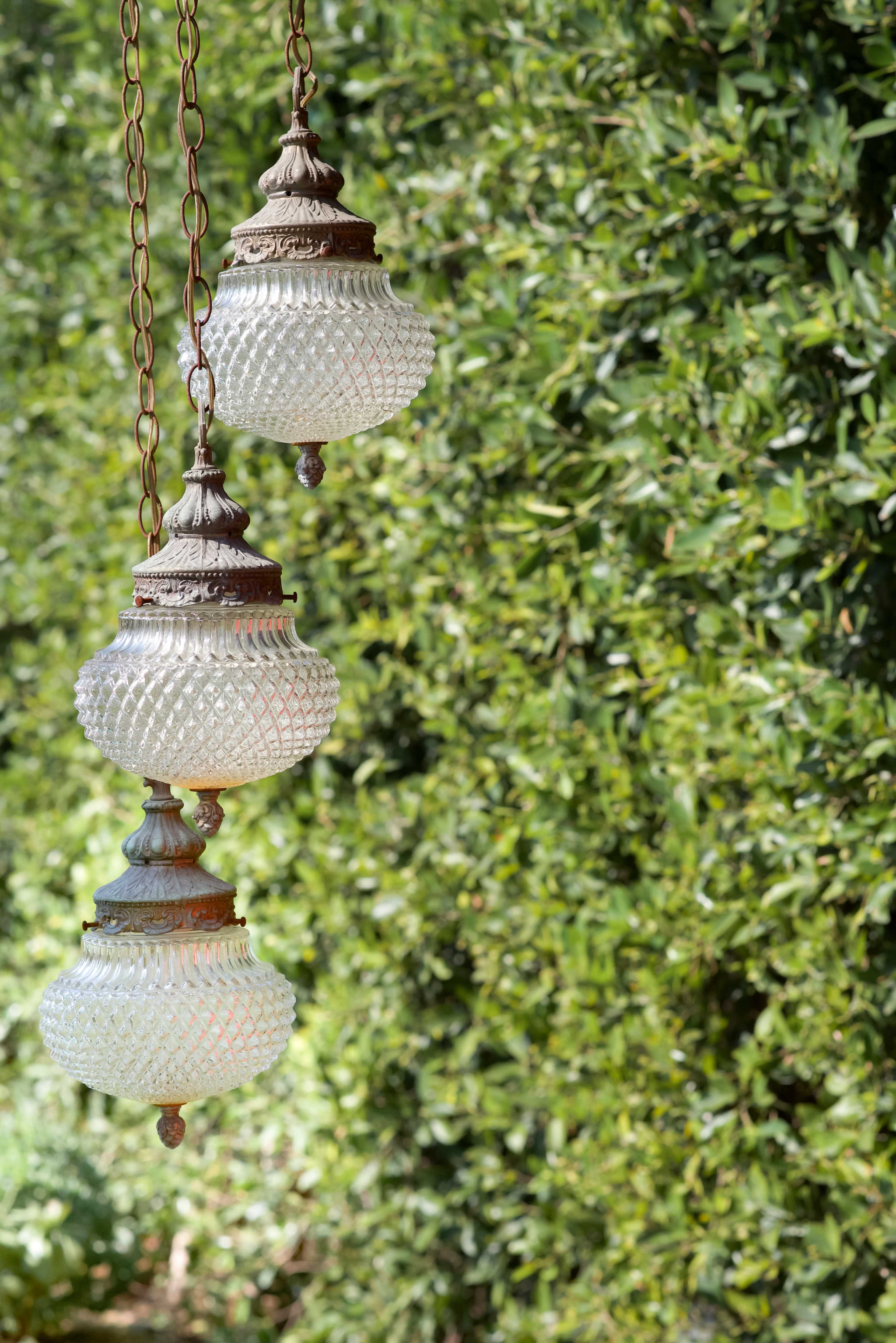 Three glass pendant lights hang from a chain against a backdrop of lush green foliage.
