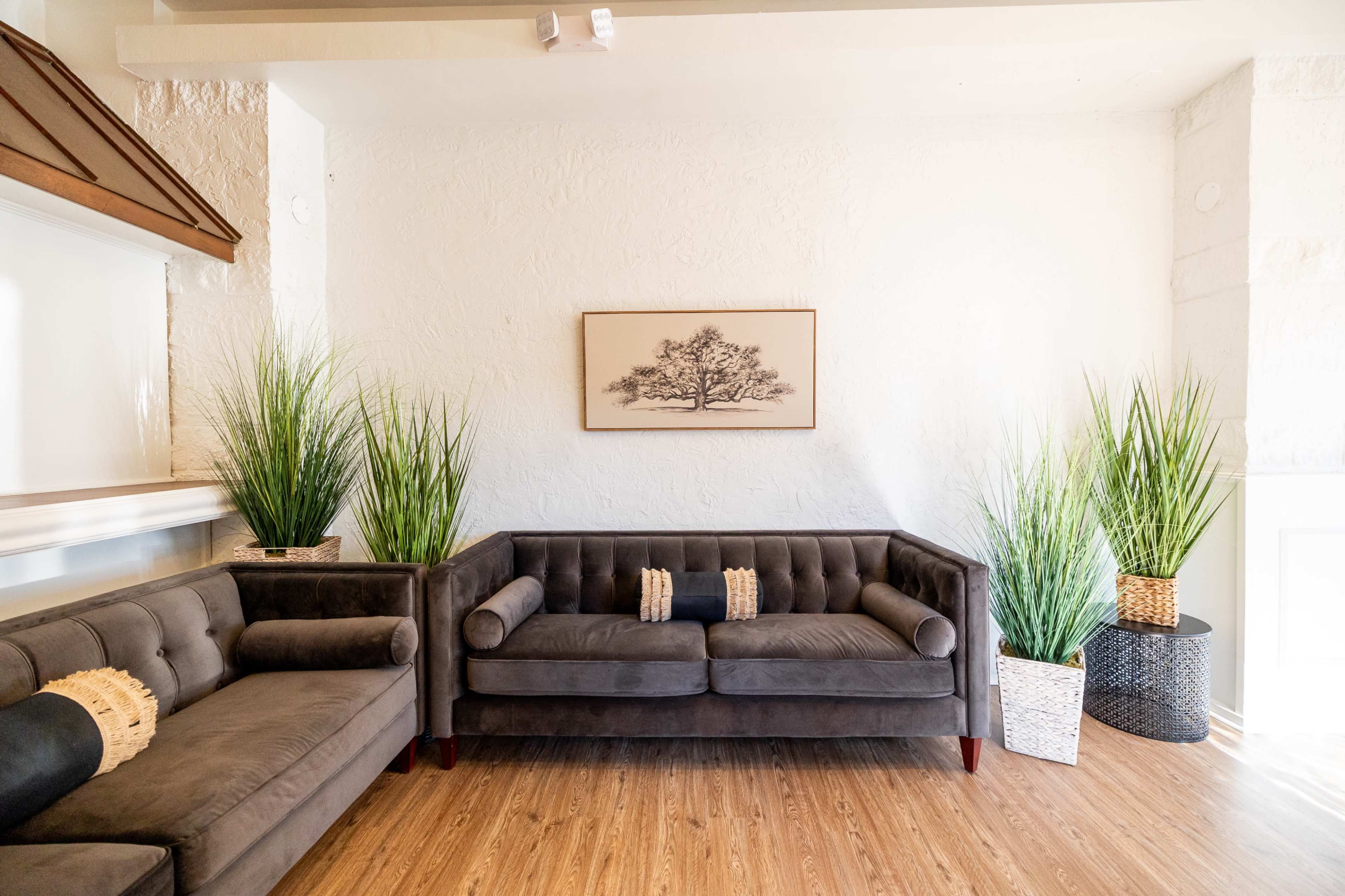Swanky black and white themed venue with light oak flooring Image in North Virginia Beach, Virginia Beach, VA