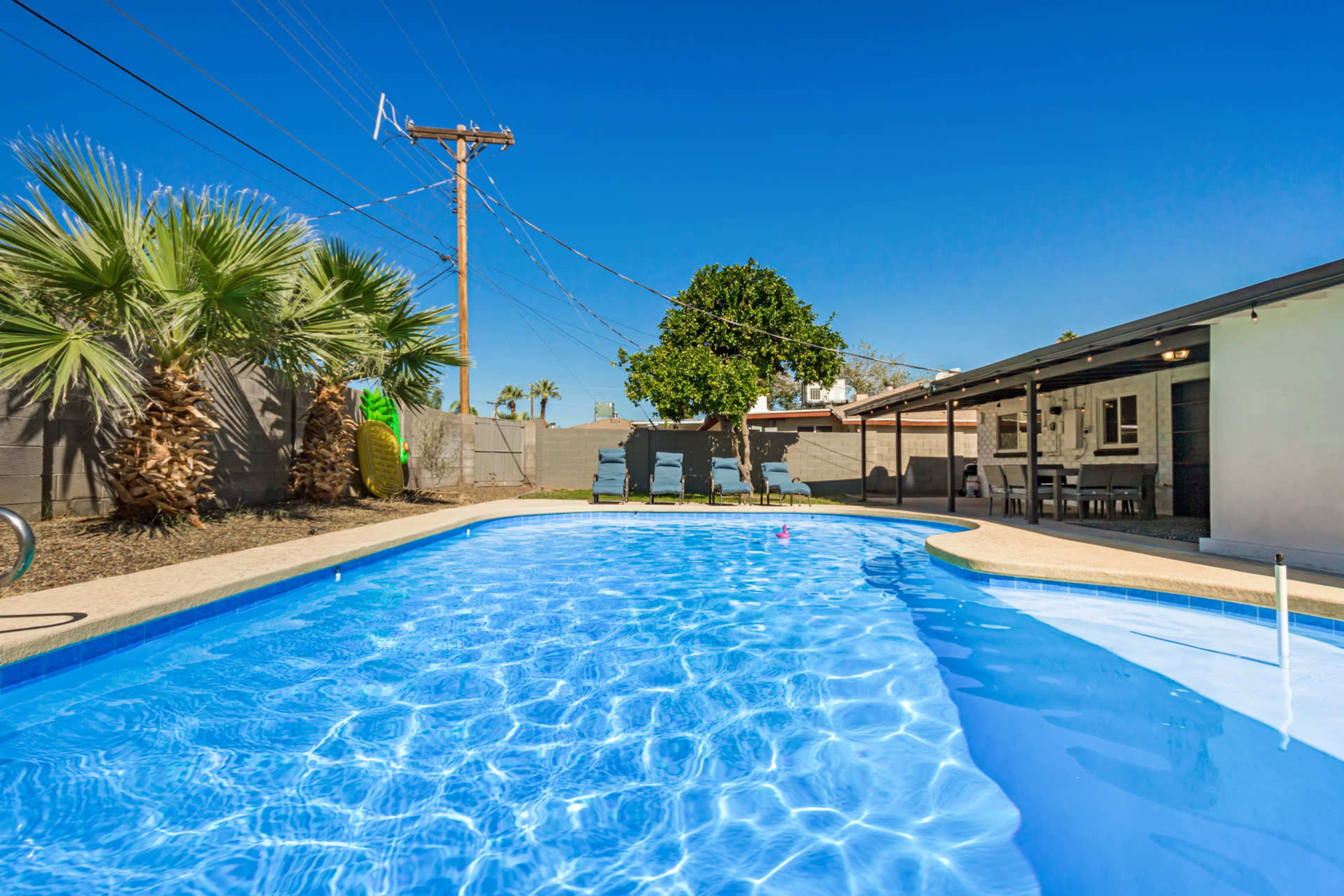 A backyard with a blue swimming pool, palm trees, and lounge chairs, under a clear blue sky.