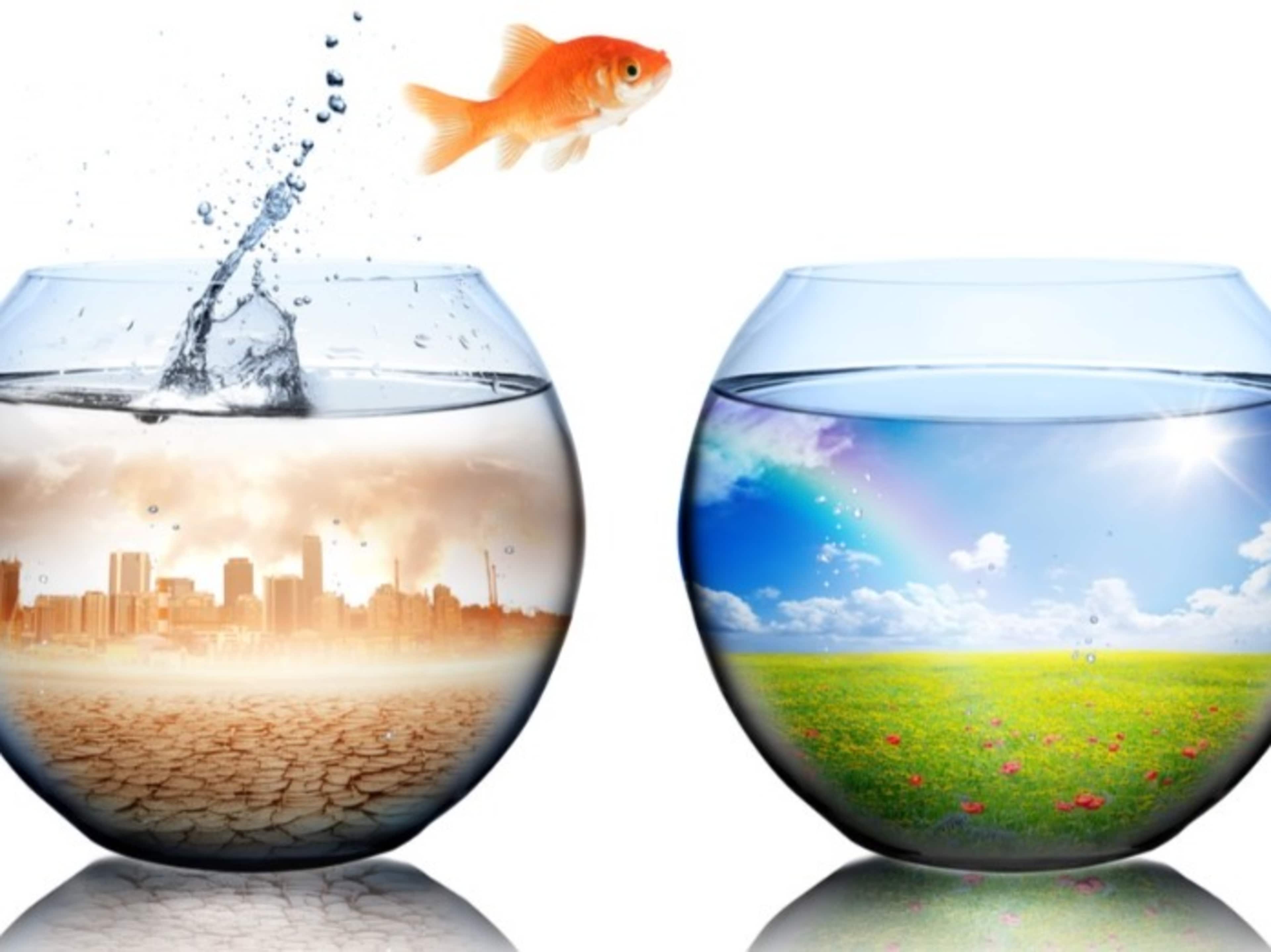 Eat Like Adam -Innerstanding 4th Phase Water CLASS