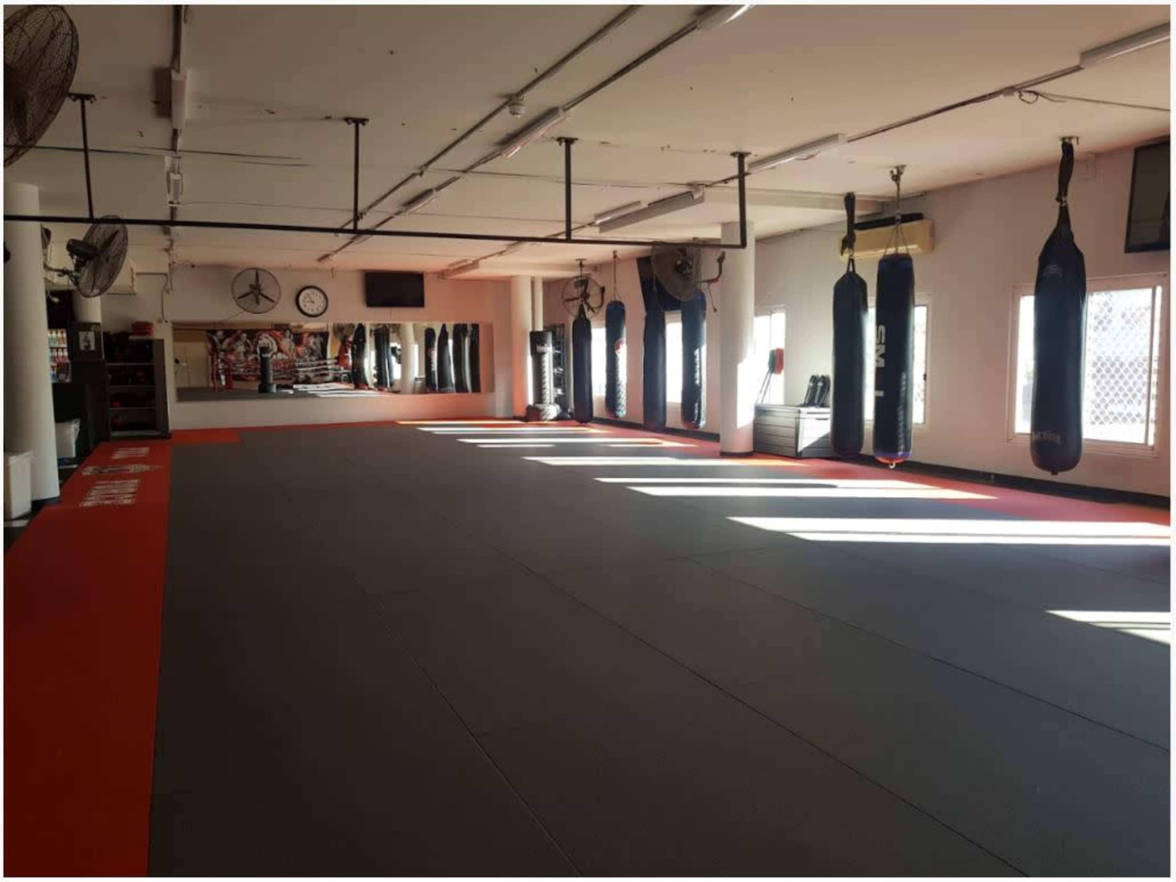 A spacious martial arts training room equipped with punching bags and a smooth, padded floor.