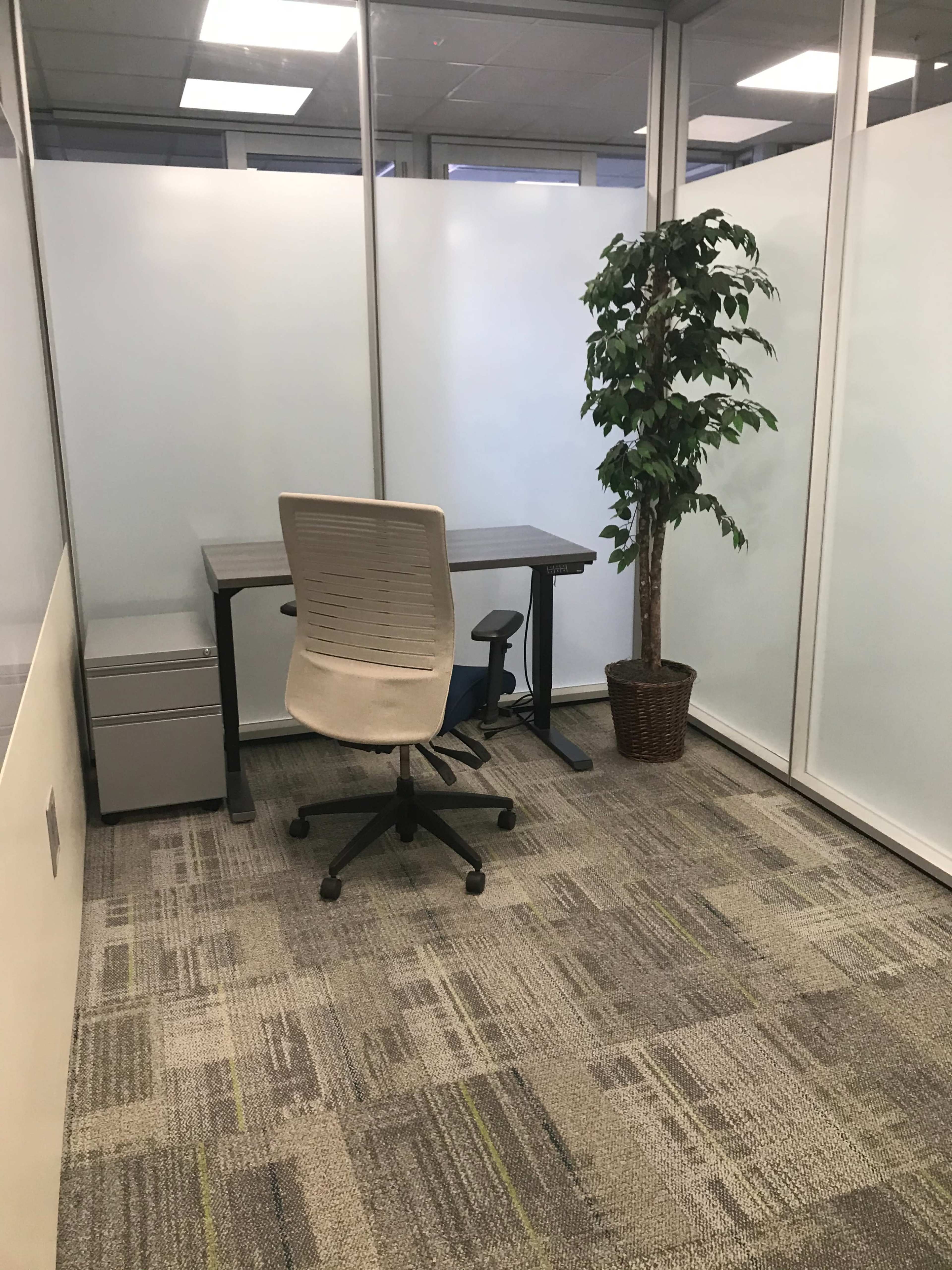 An empty office space features a desk, an ergonomic chair, a filing cabinet, and a potted plant.