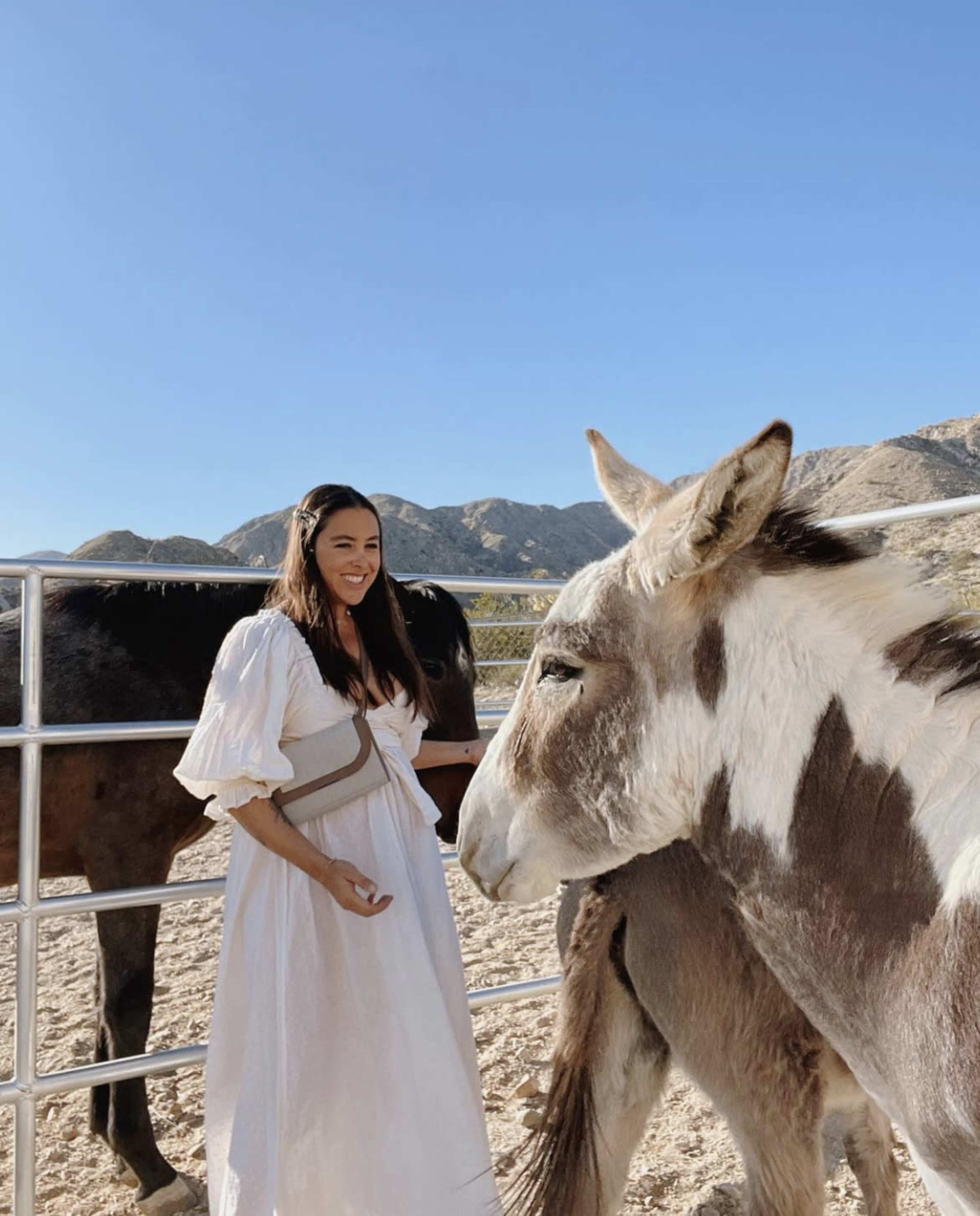 A woman in a white dress stands by a donkey in a pen, with horses and mountains in the background under a clear blue sky.