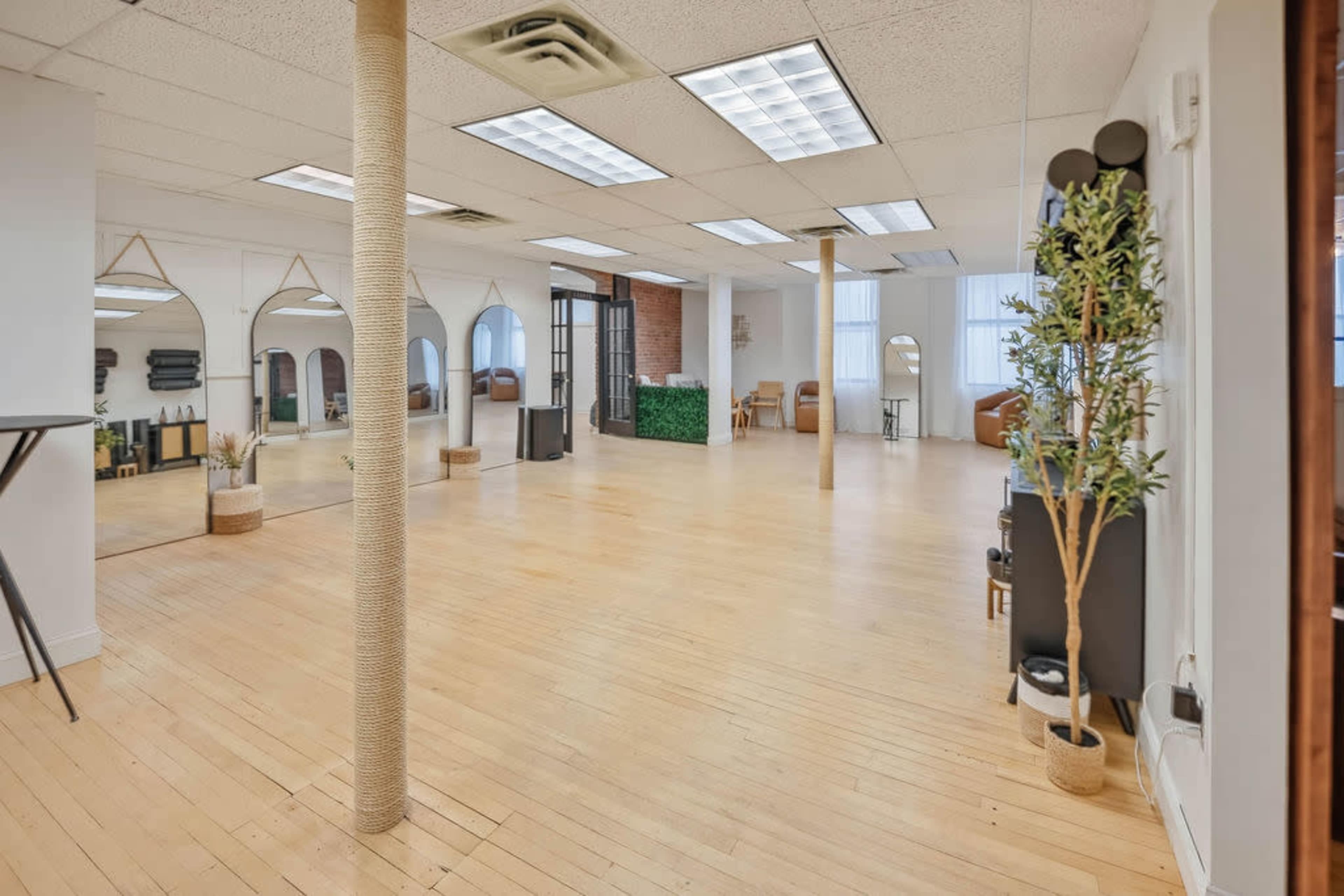 The image shows a spacious, well-lit studio with wooden flooring and minimal furniture, featuring large windows and several decorative plants.