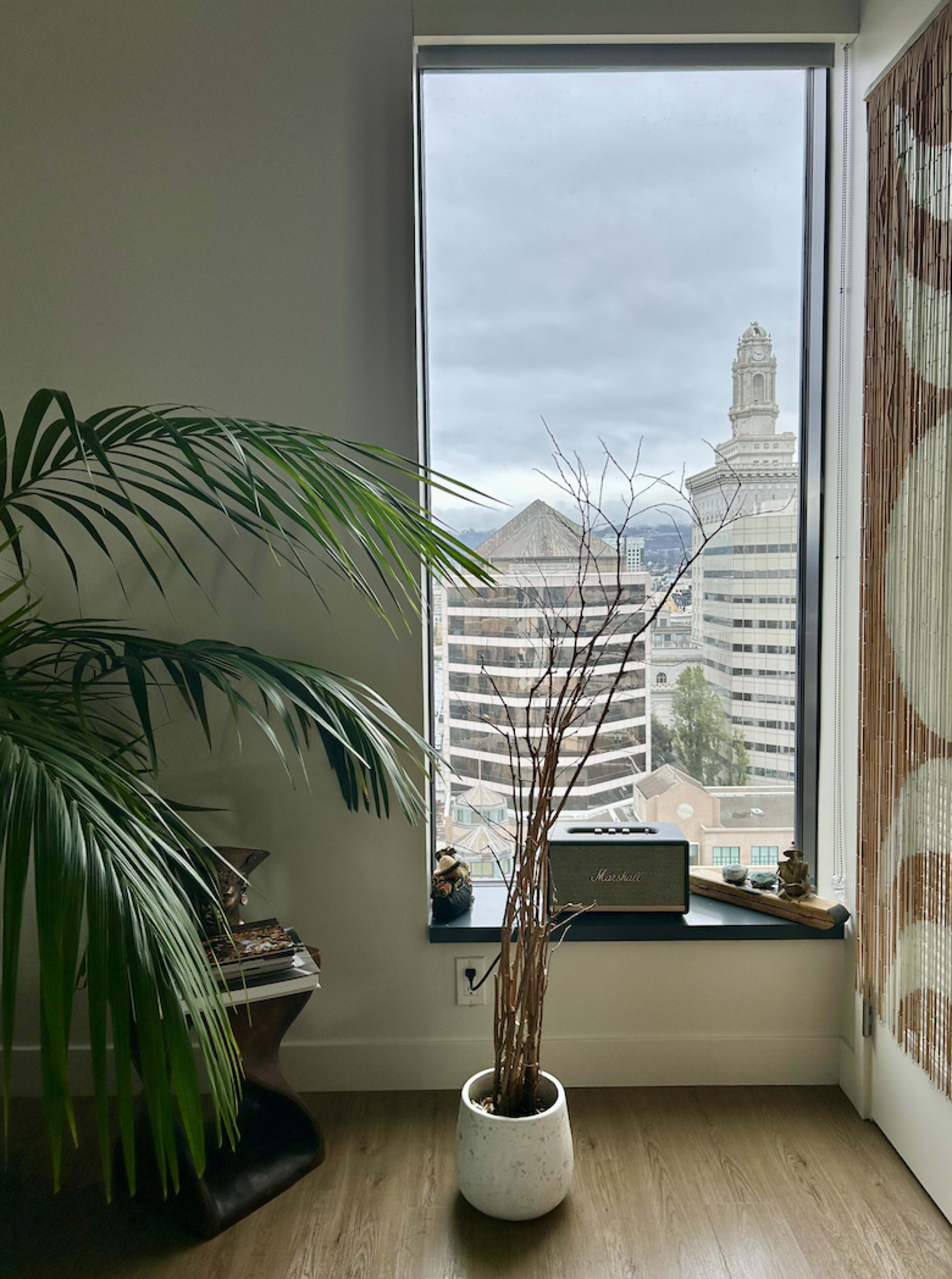 A potted plant and a speaker are positioned beside a large window that offers a view of urban buildings under a cloudy sky.